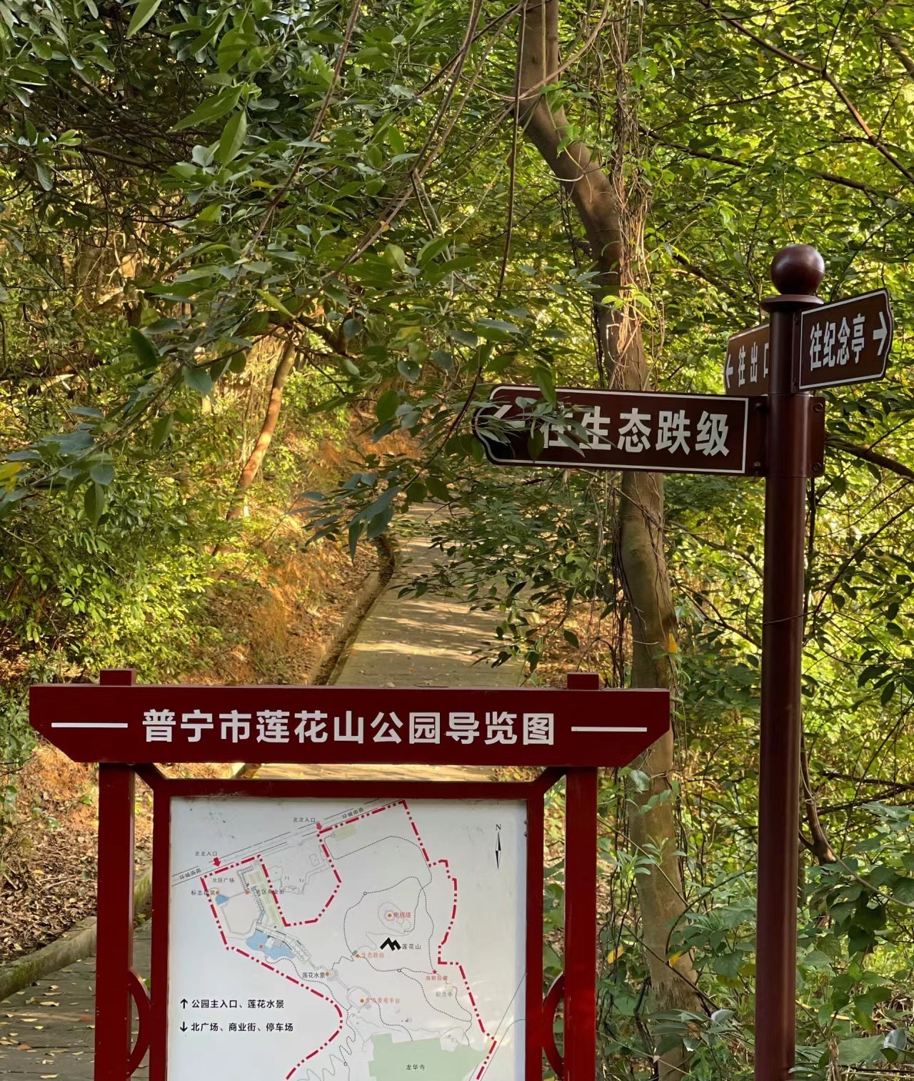 莲花山公园旅行图片 2