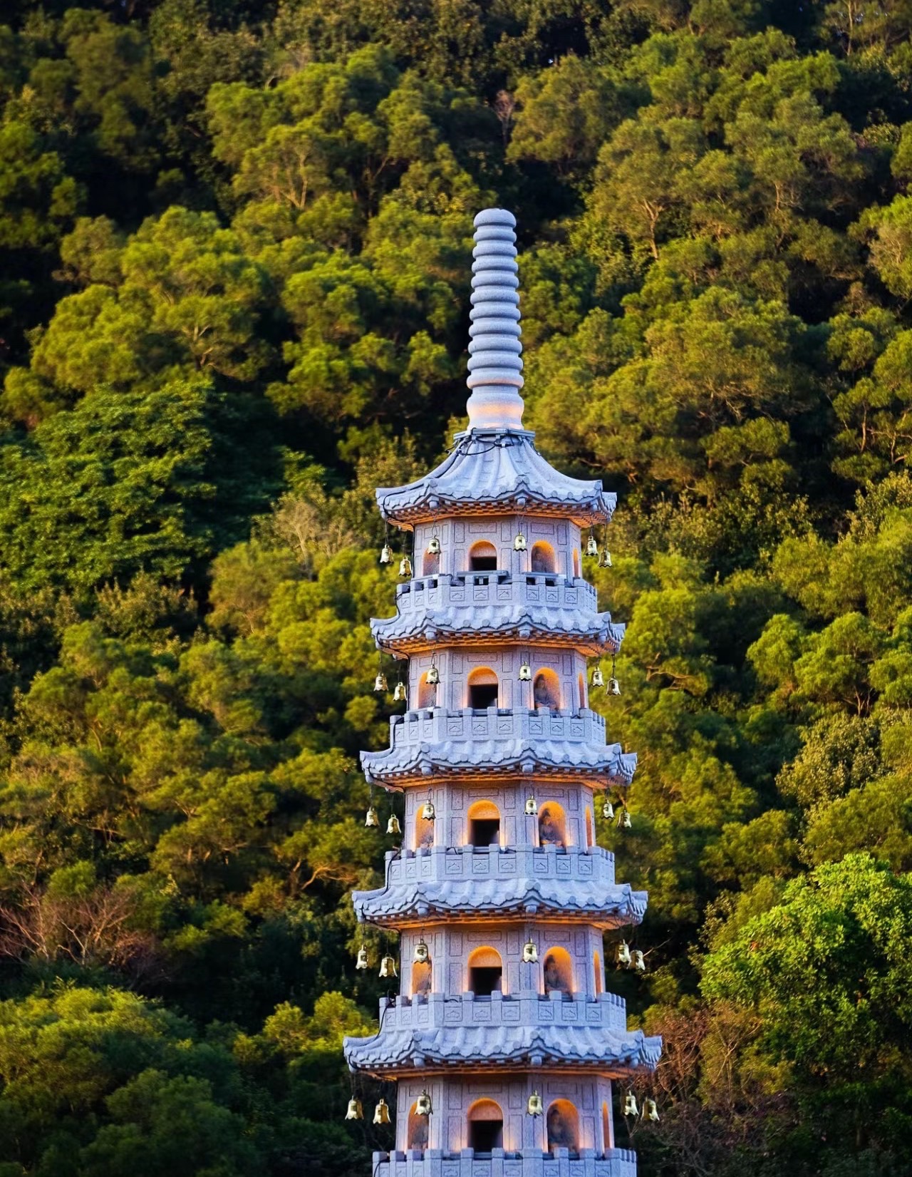 莲花山公园旅行图片 3