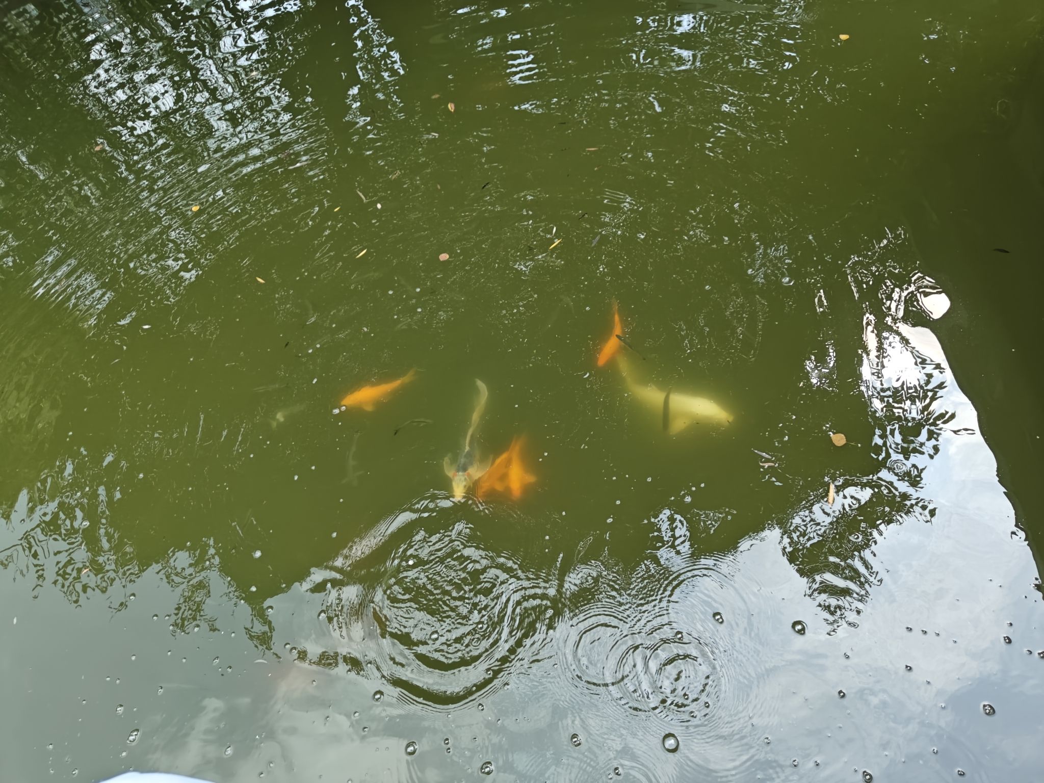 桂林飞虎队遗址公园旅行图片 3
