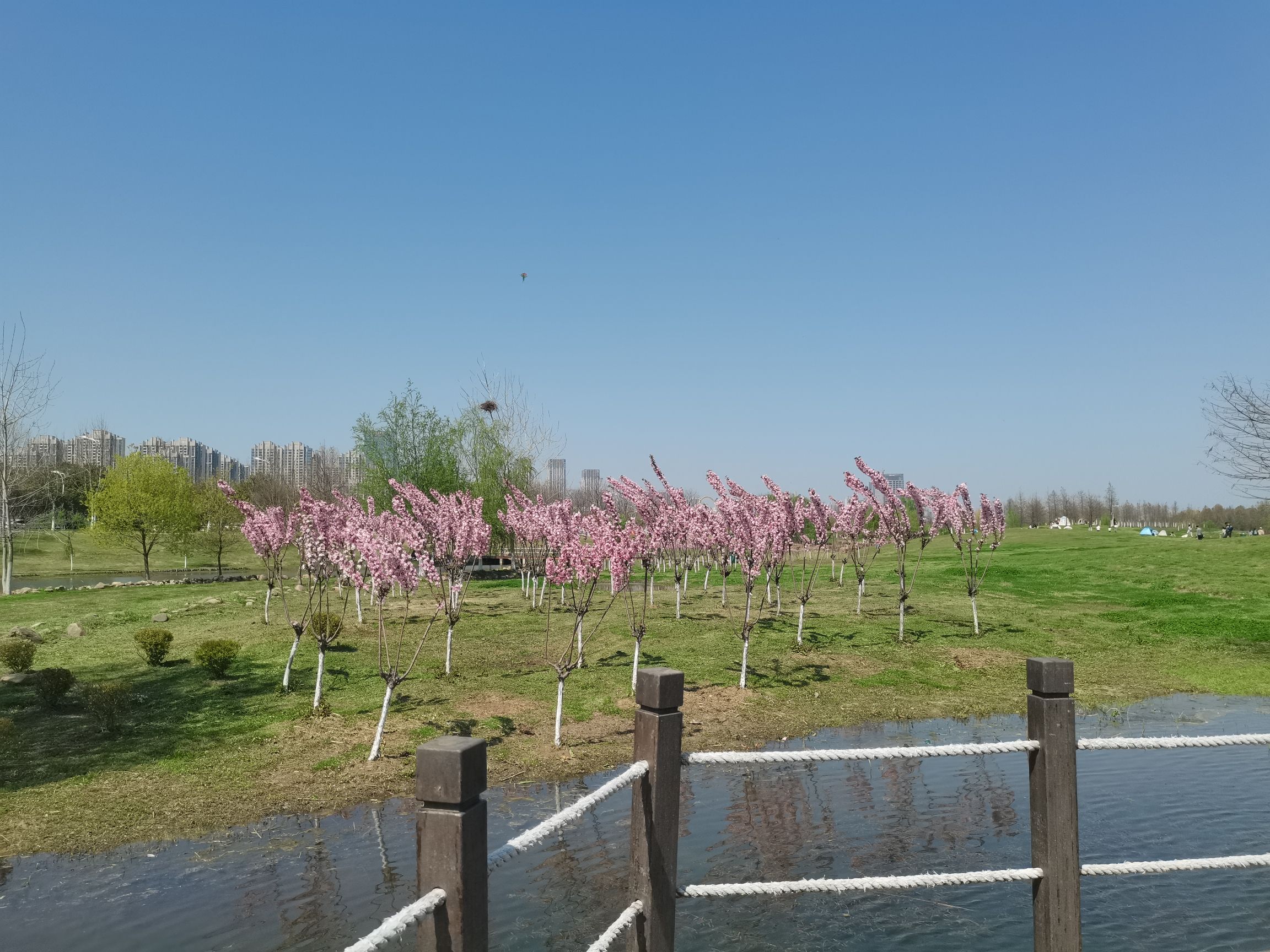 合肥岸上草原旅行图片 2