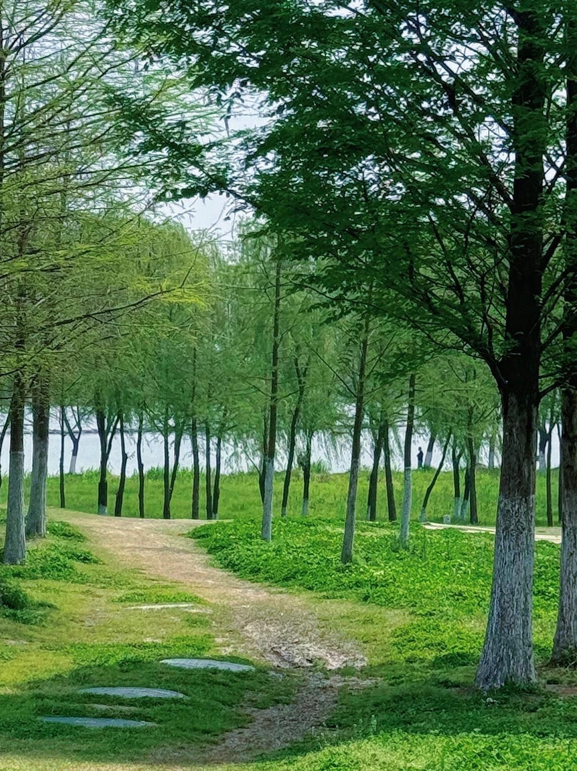 合肥岸上草原旅行图片 3