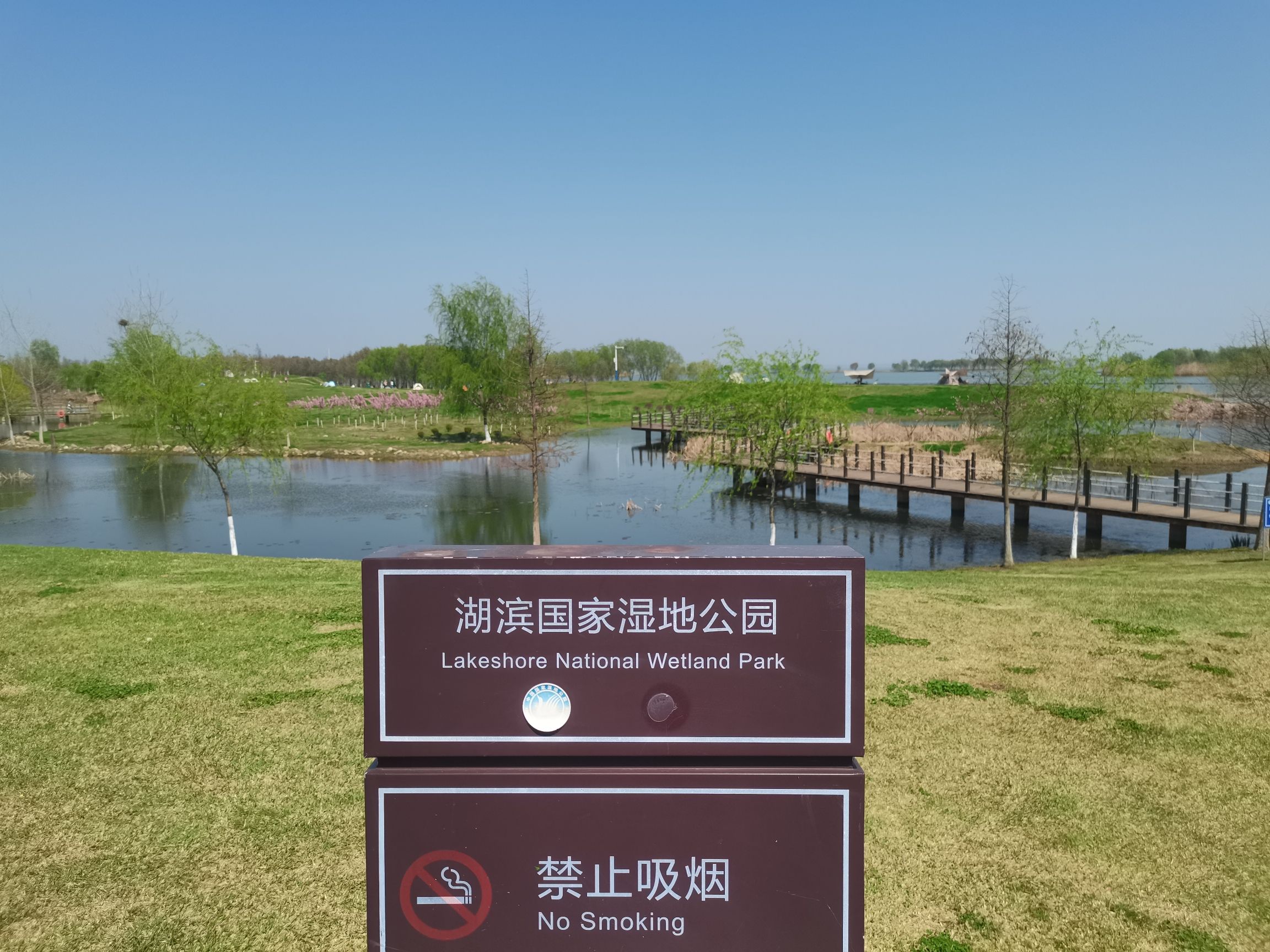 合肥岸上草原旅行图片 1