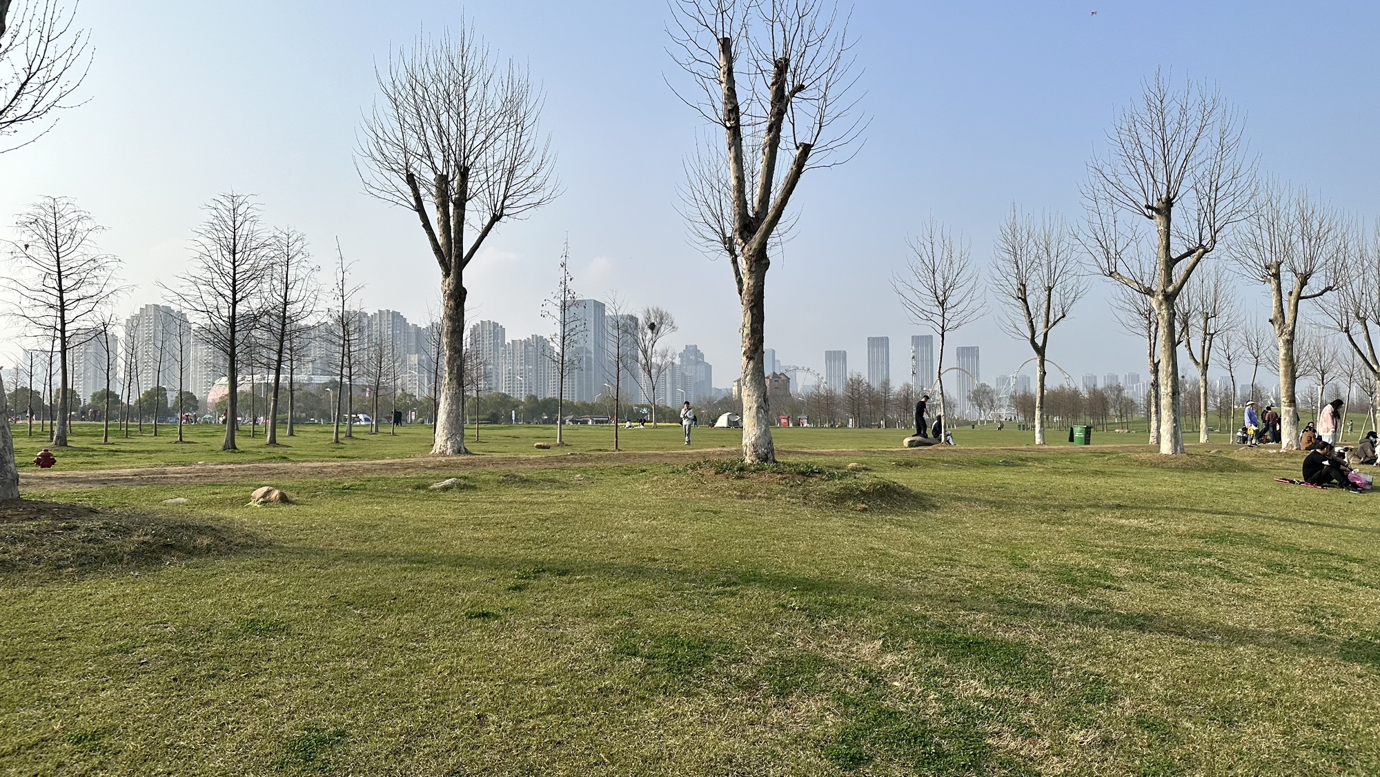 合肥岸上草原旅行图片 2