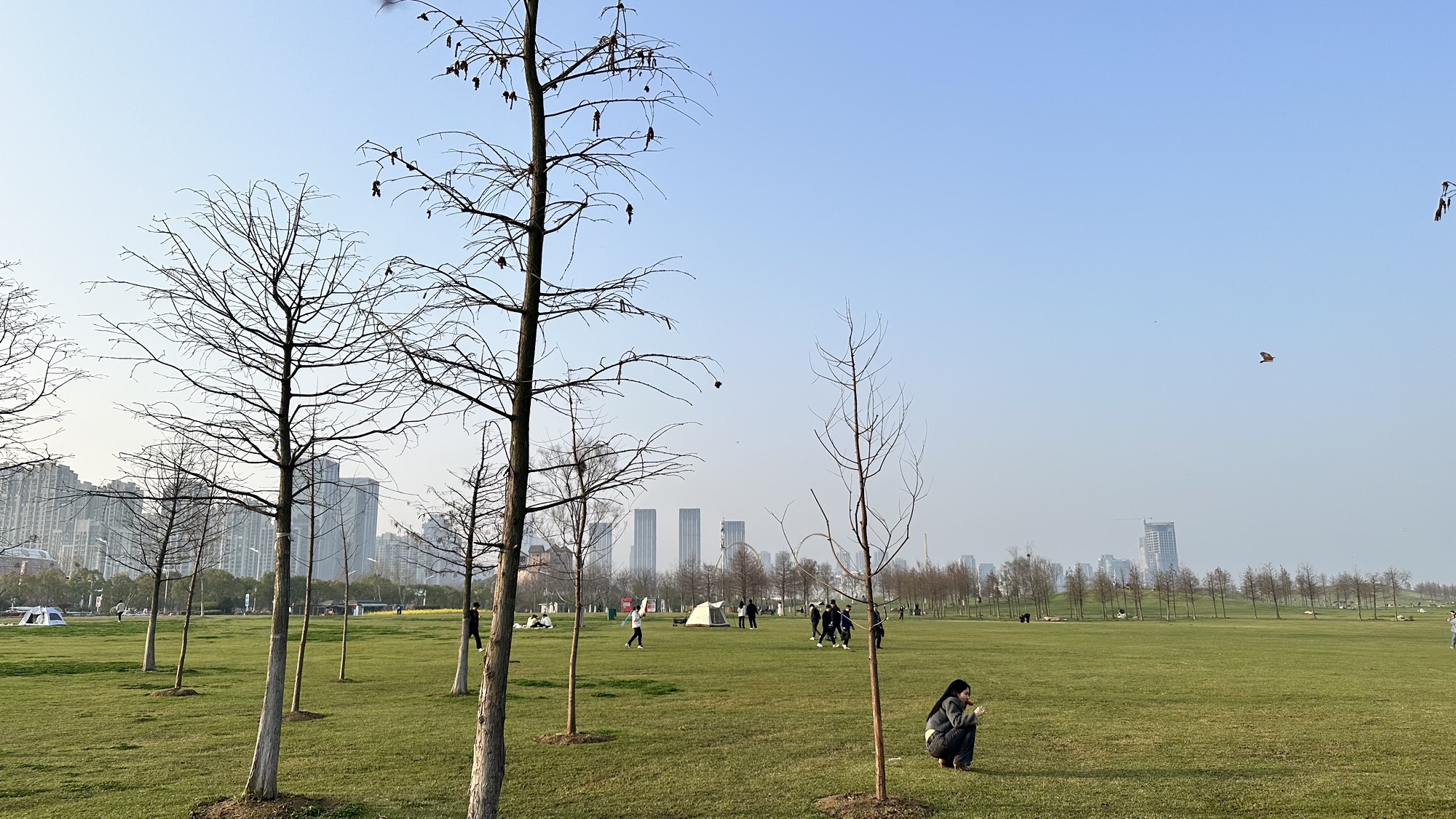 合肥岸上草原旅行图片 1