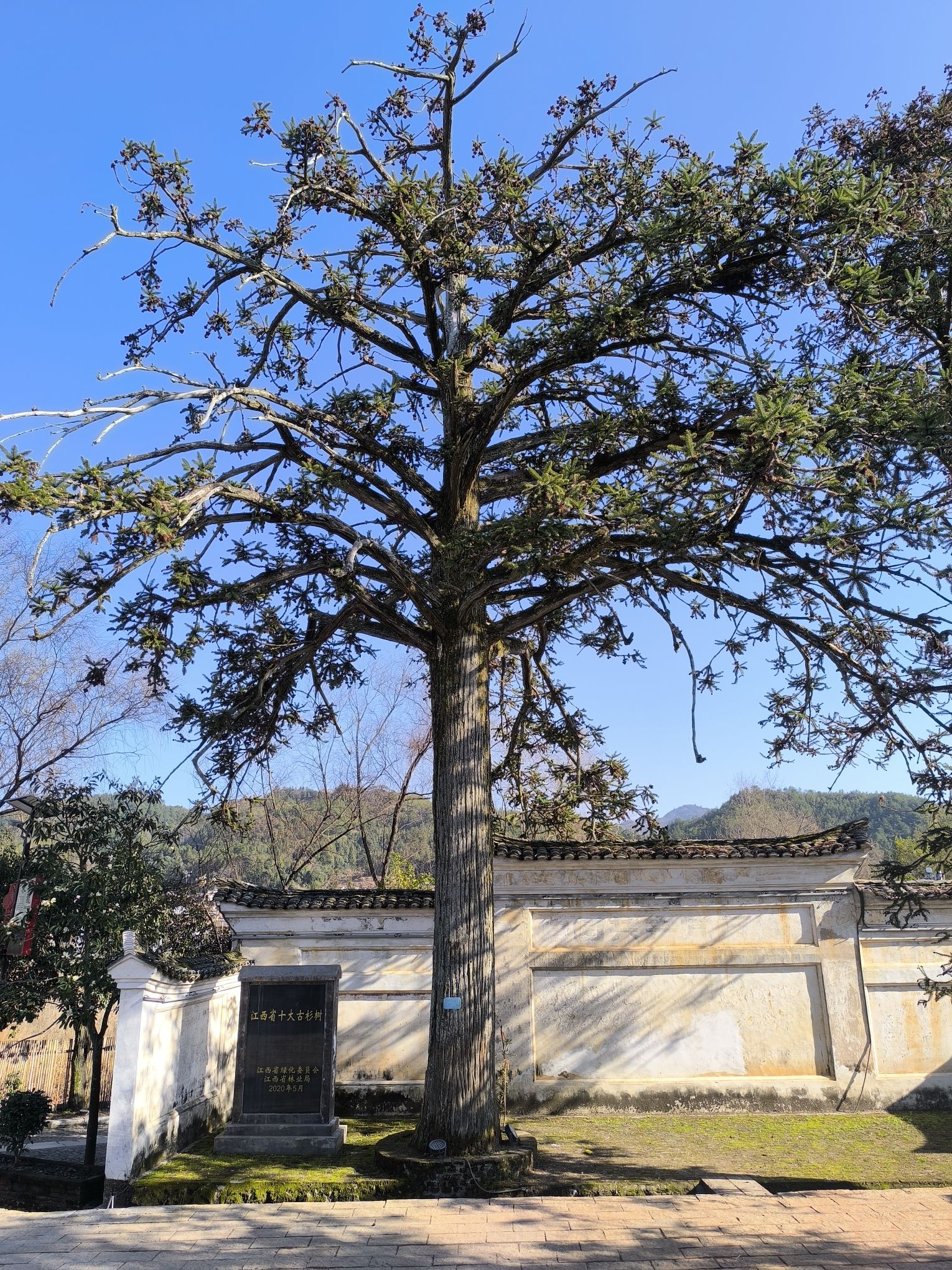 中国景观村落东龙旅行图片 2