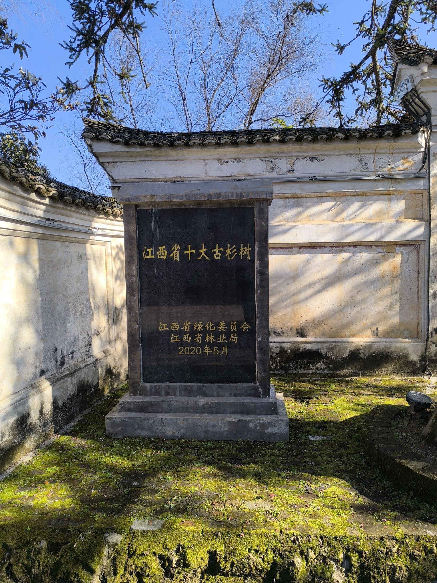 中国景观村落东龙旅行图片 3