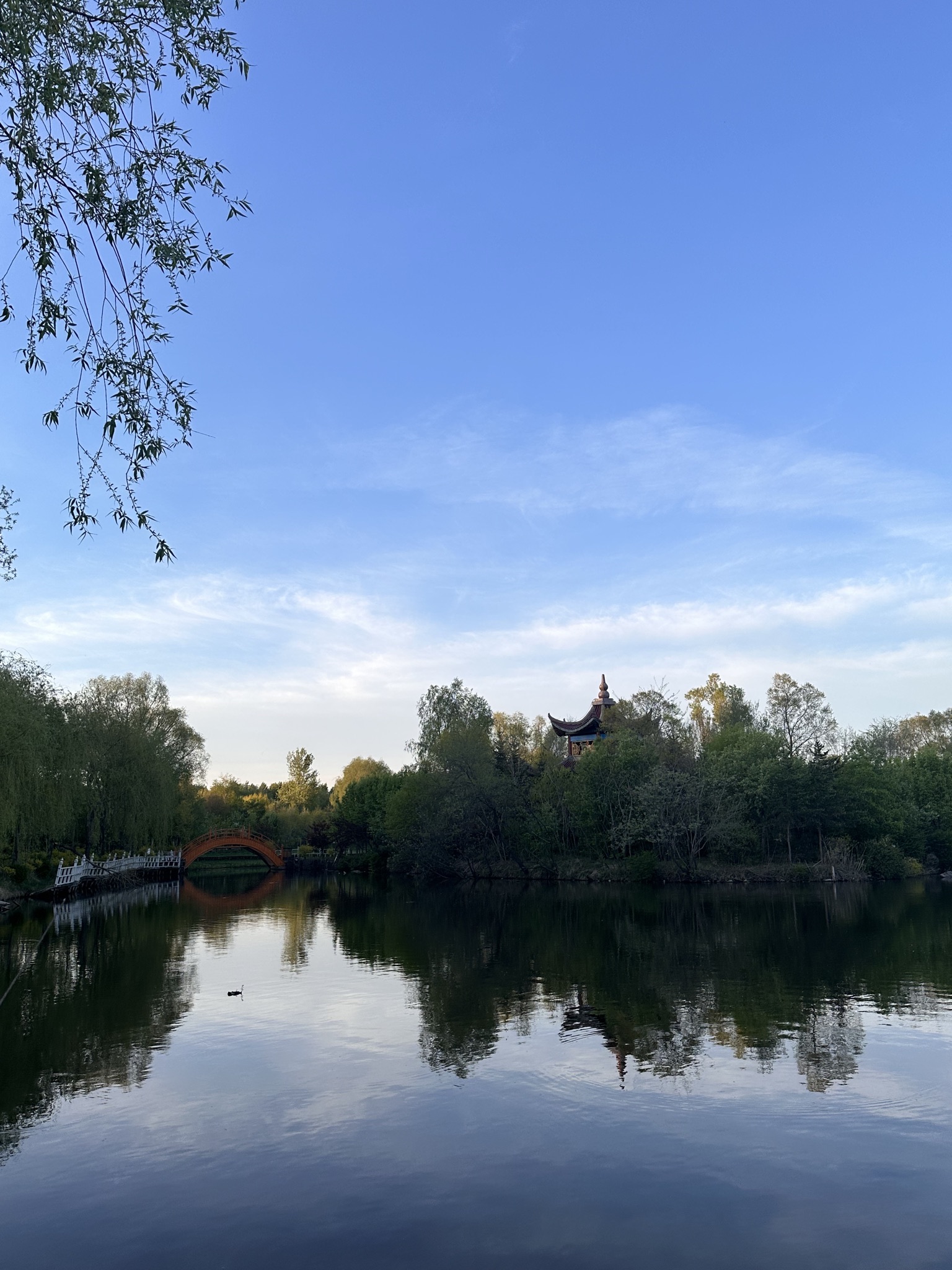 长春关东文化园(暂停开放)旅行图片 2