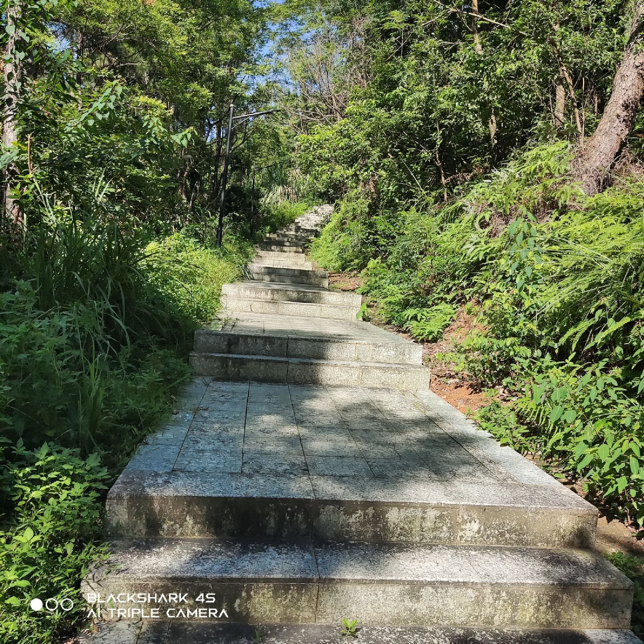 森林公园旅行图片 2