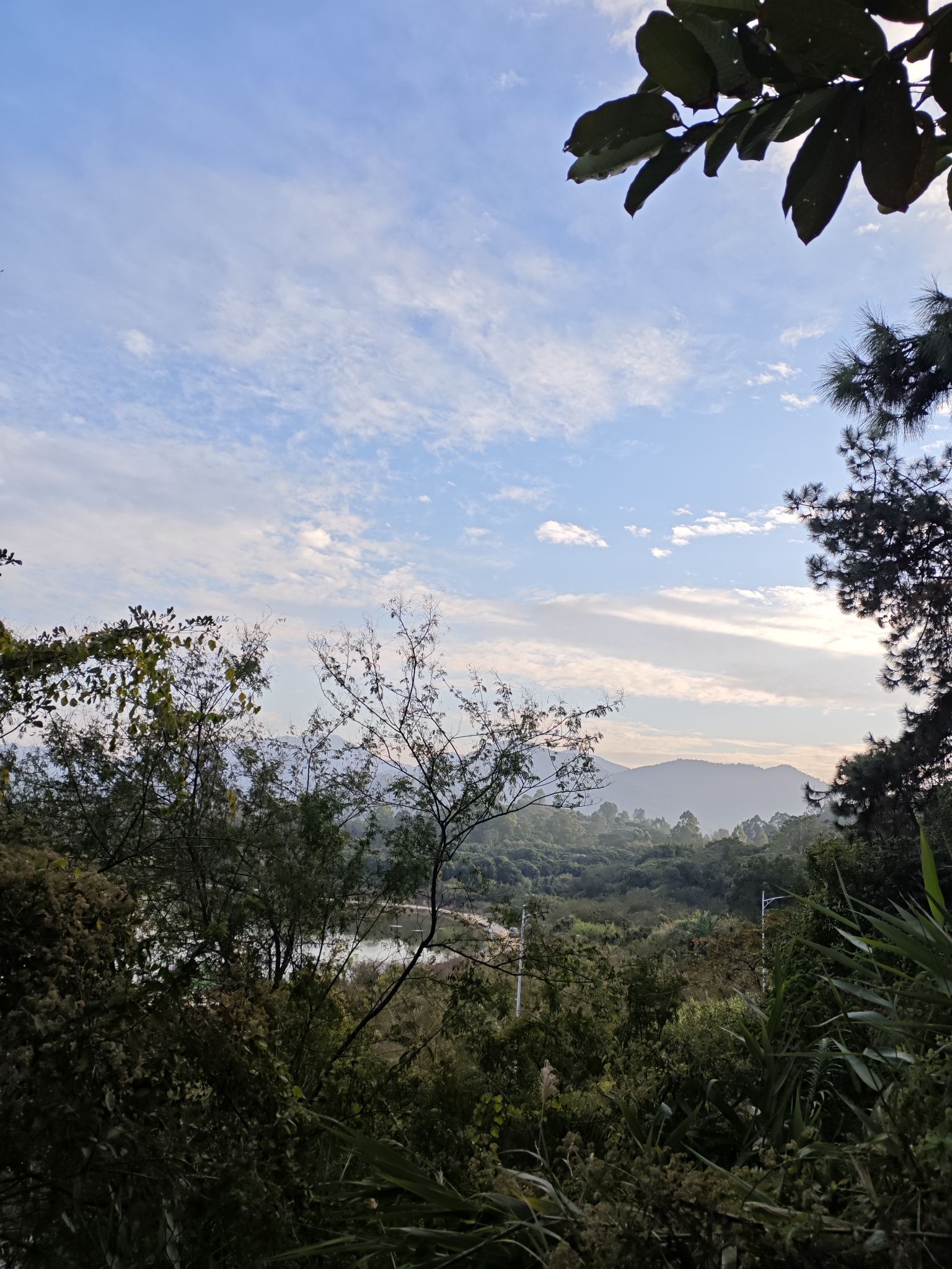 森林公园旅行图片 3