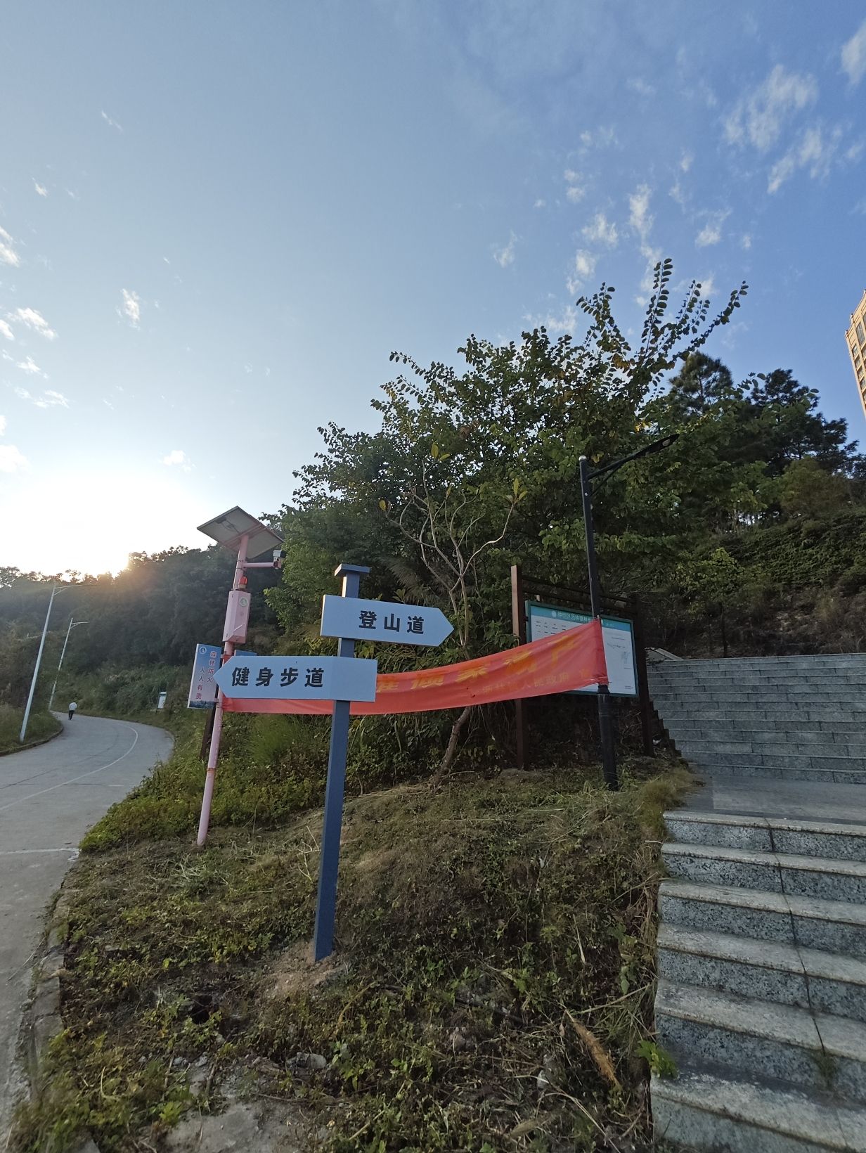 森林公园旅行图片 1