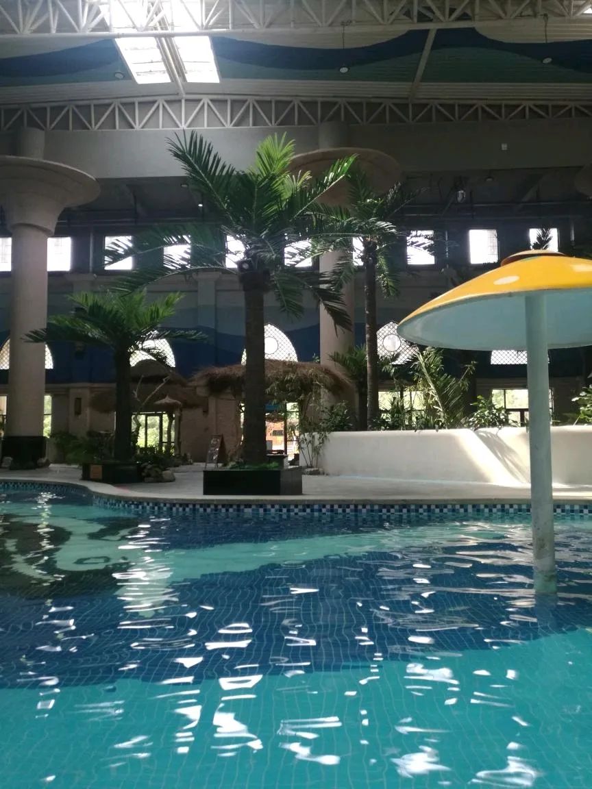 阜新宝地斯帕温泉度假区旅行图片 2