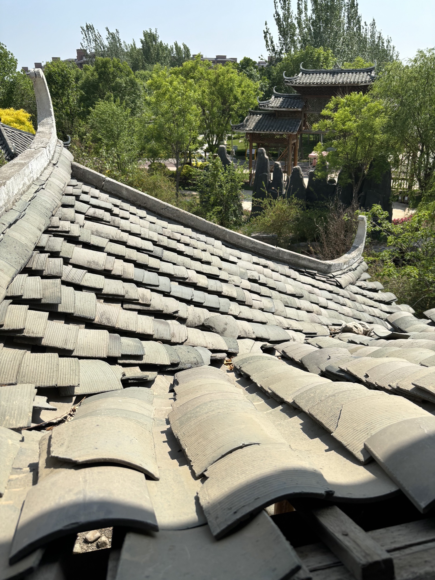 南湖·绿博园景区旅行图片 2