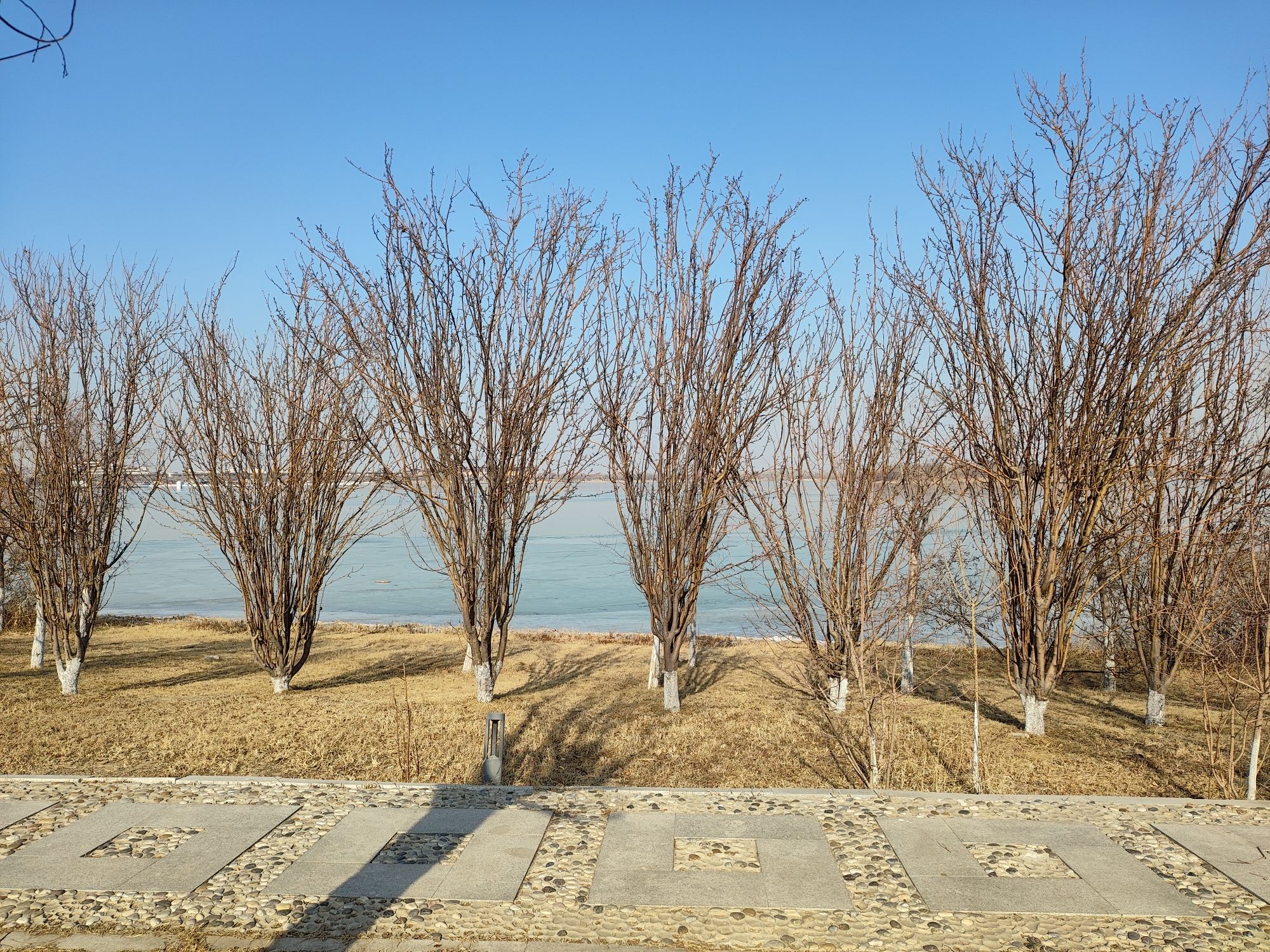 南湖·绿博园景区旅行图片 2
