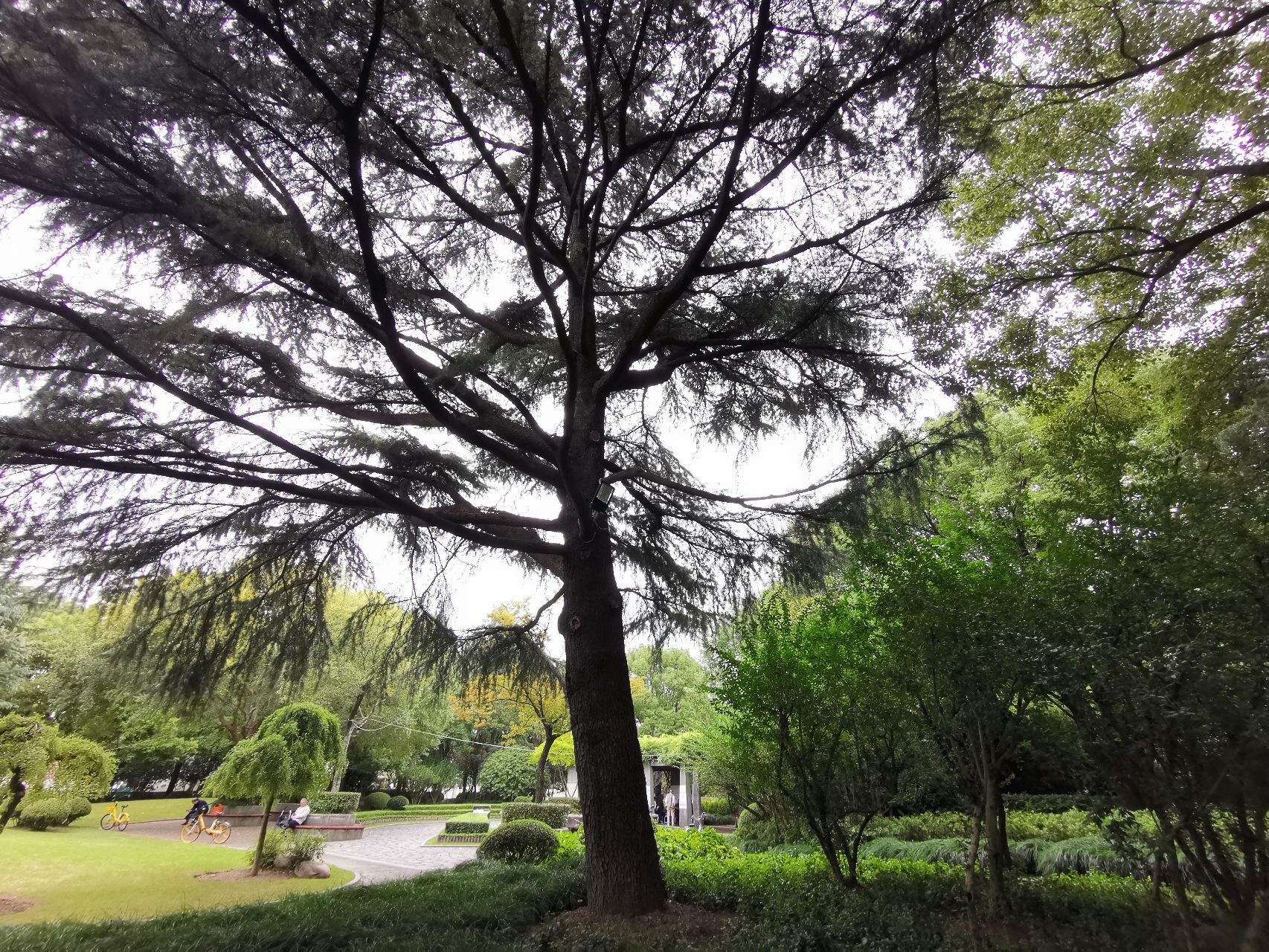 老鹰公园旅行图片 3