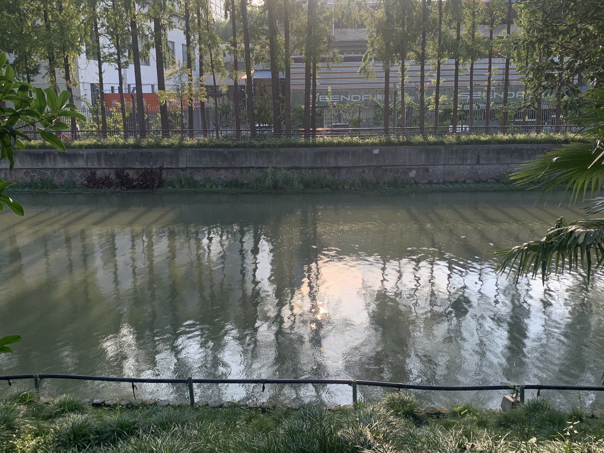 老鹰公园旅行图片 3