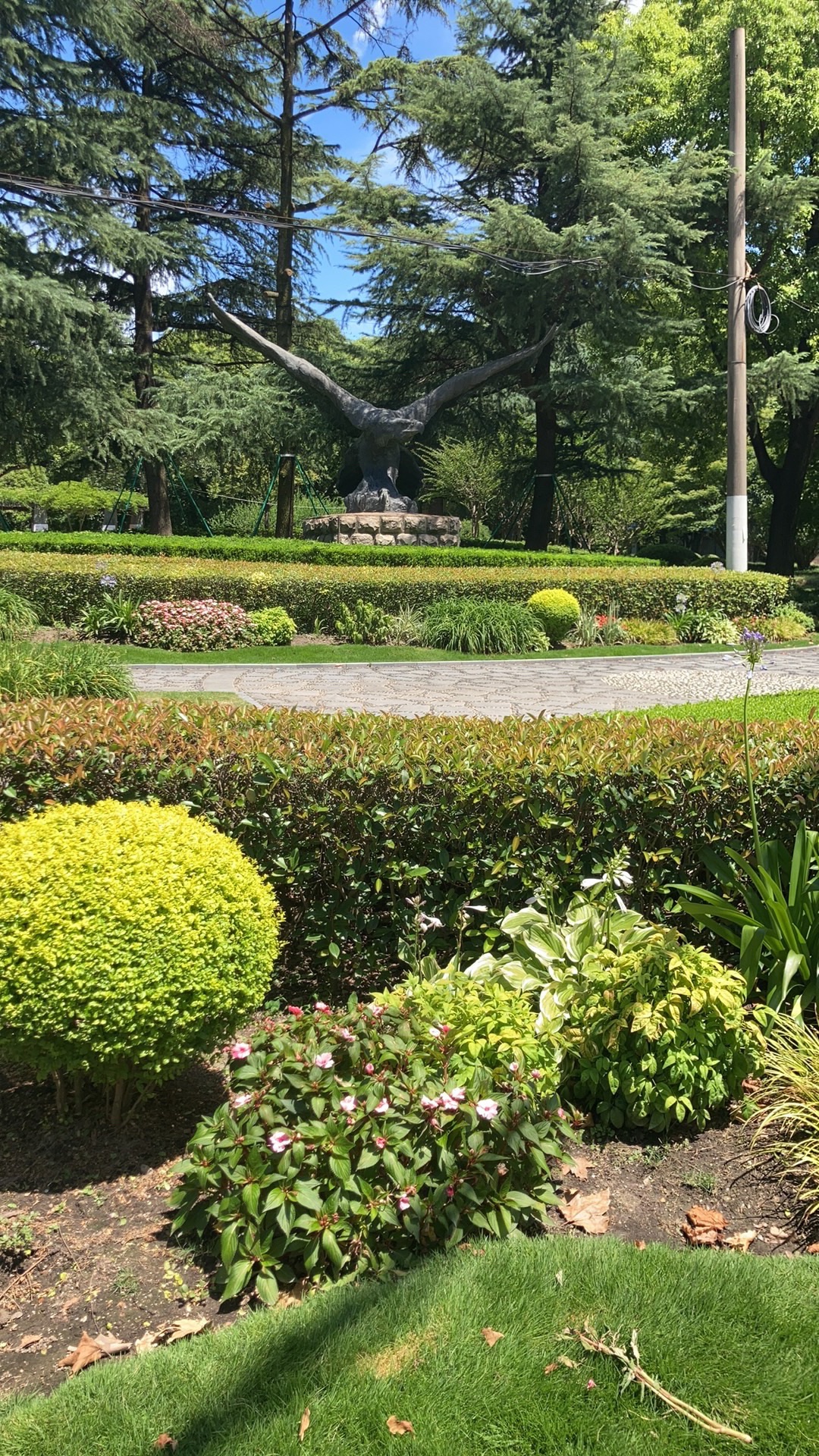 老鹰公园