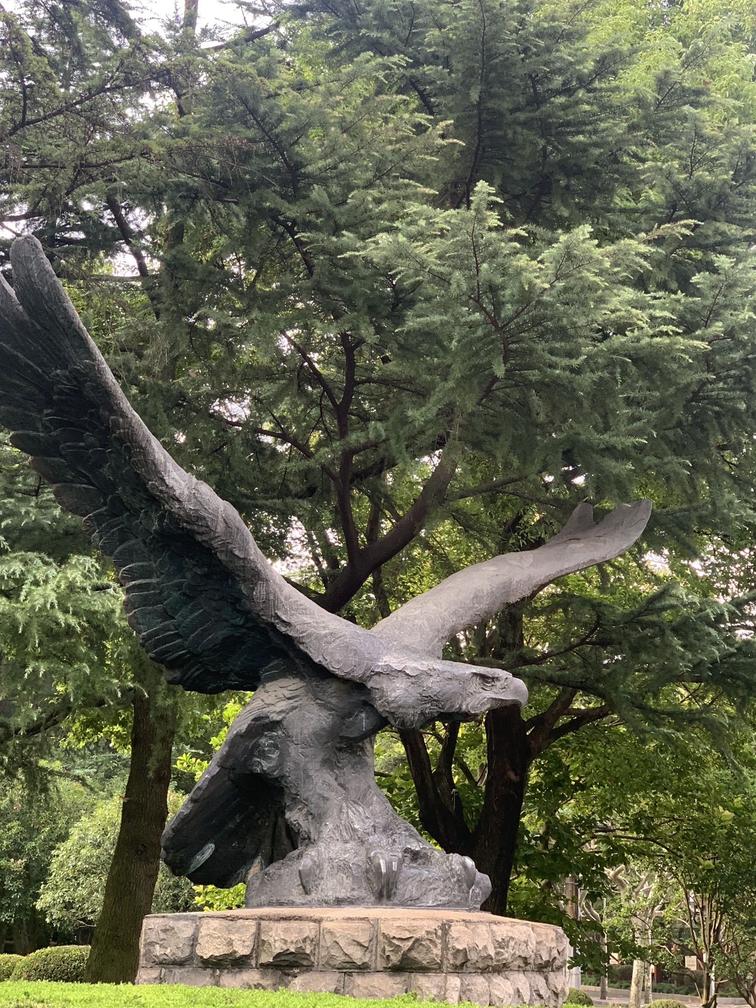 老鹰公园旅行图片 1