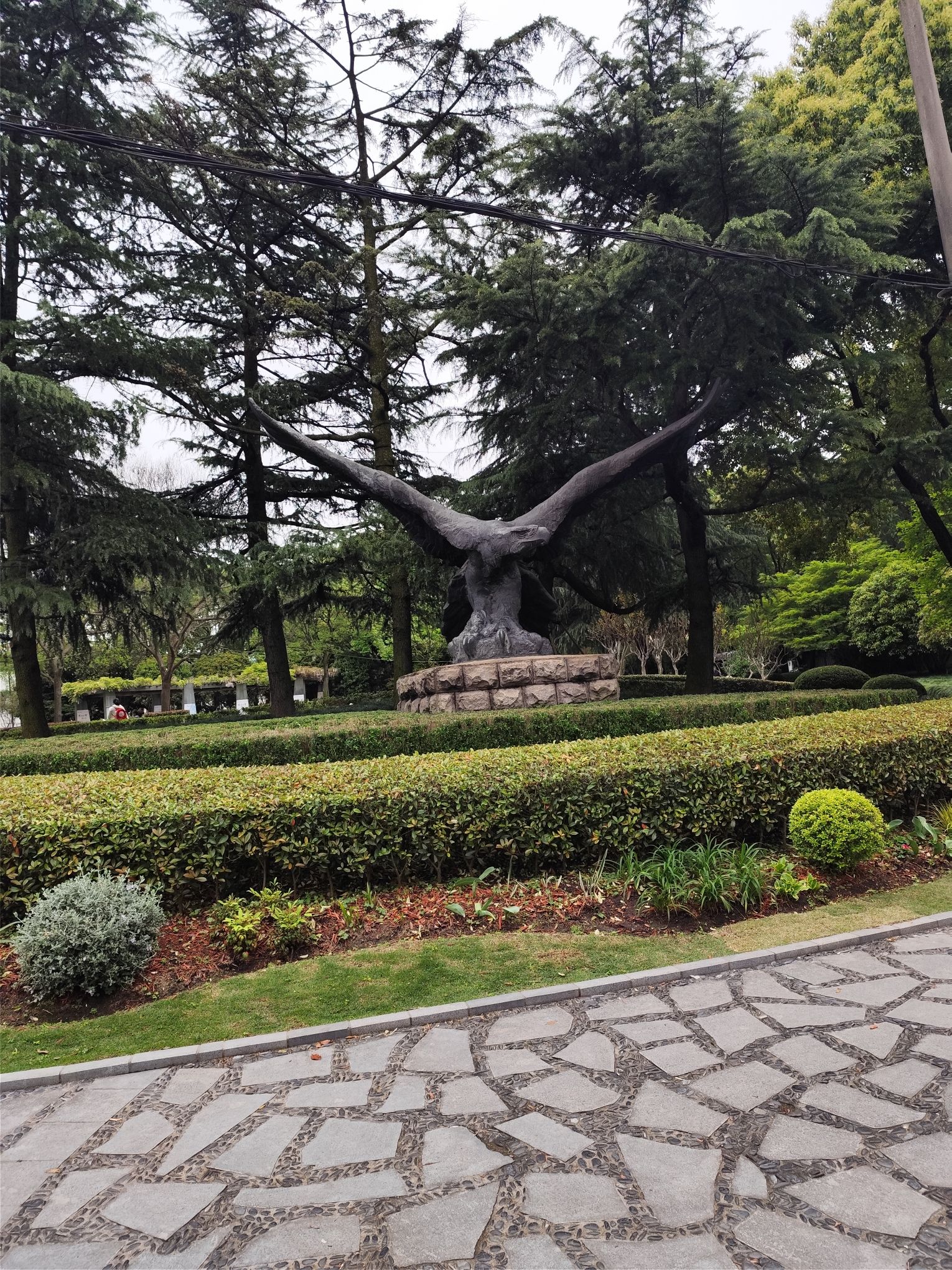 老鹰公园旅行图片