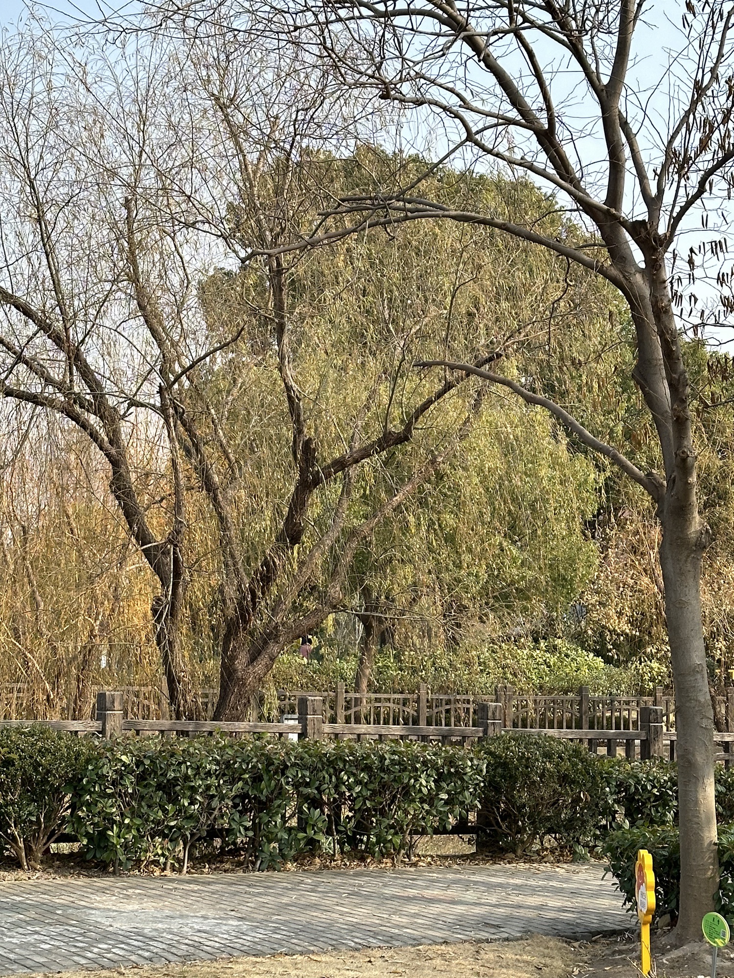 金鹤公园旅行图片 2