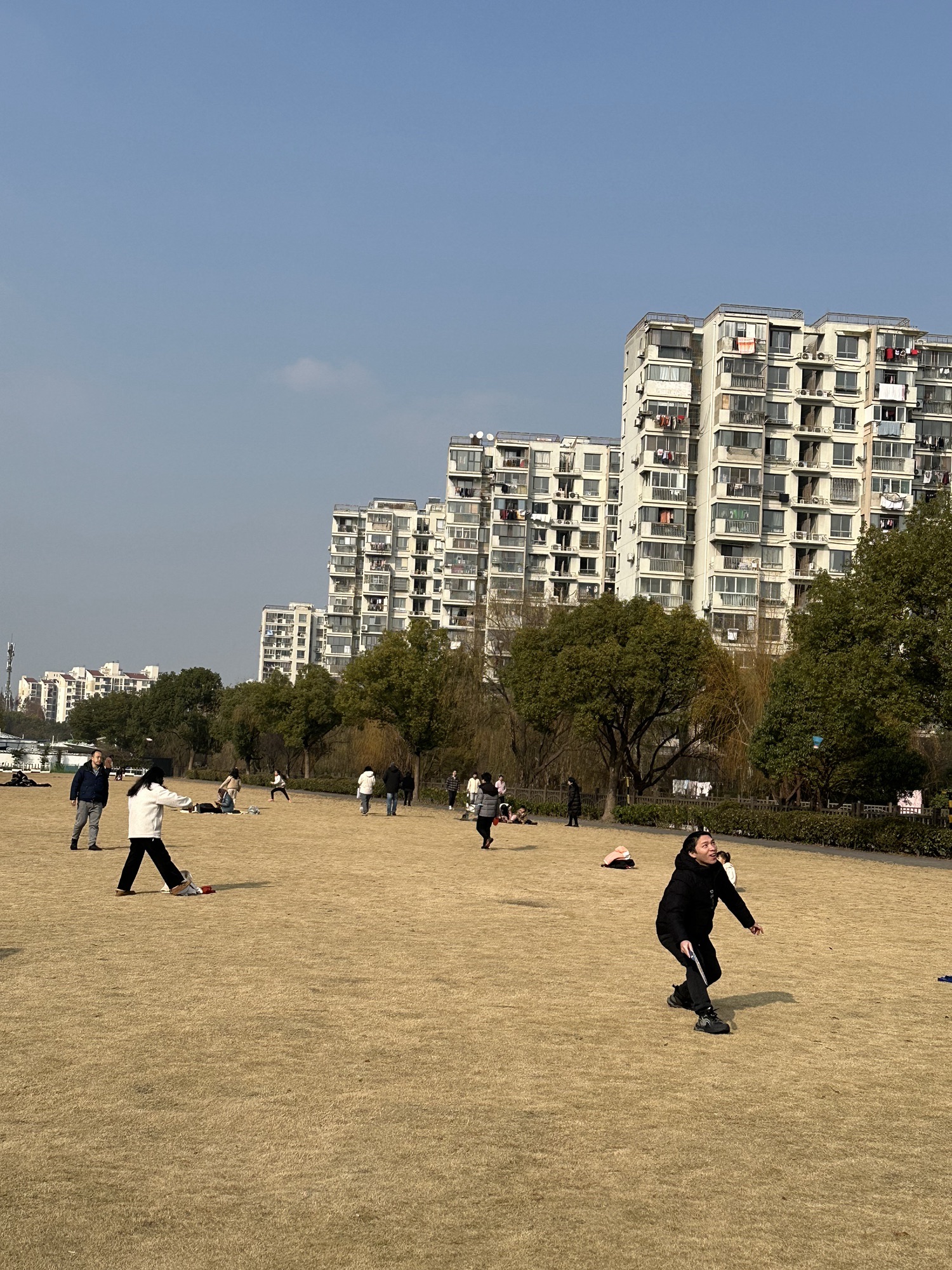 金鹤公园旅行图片 3