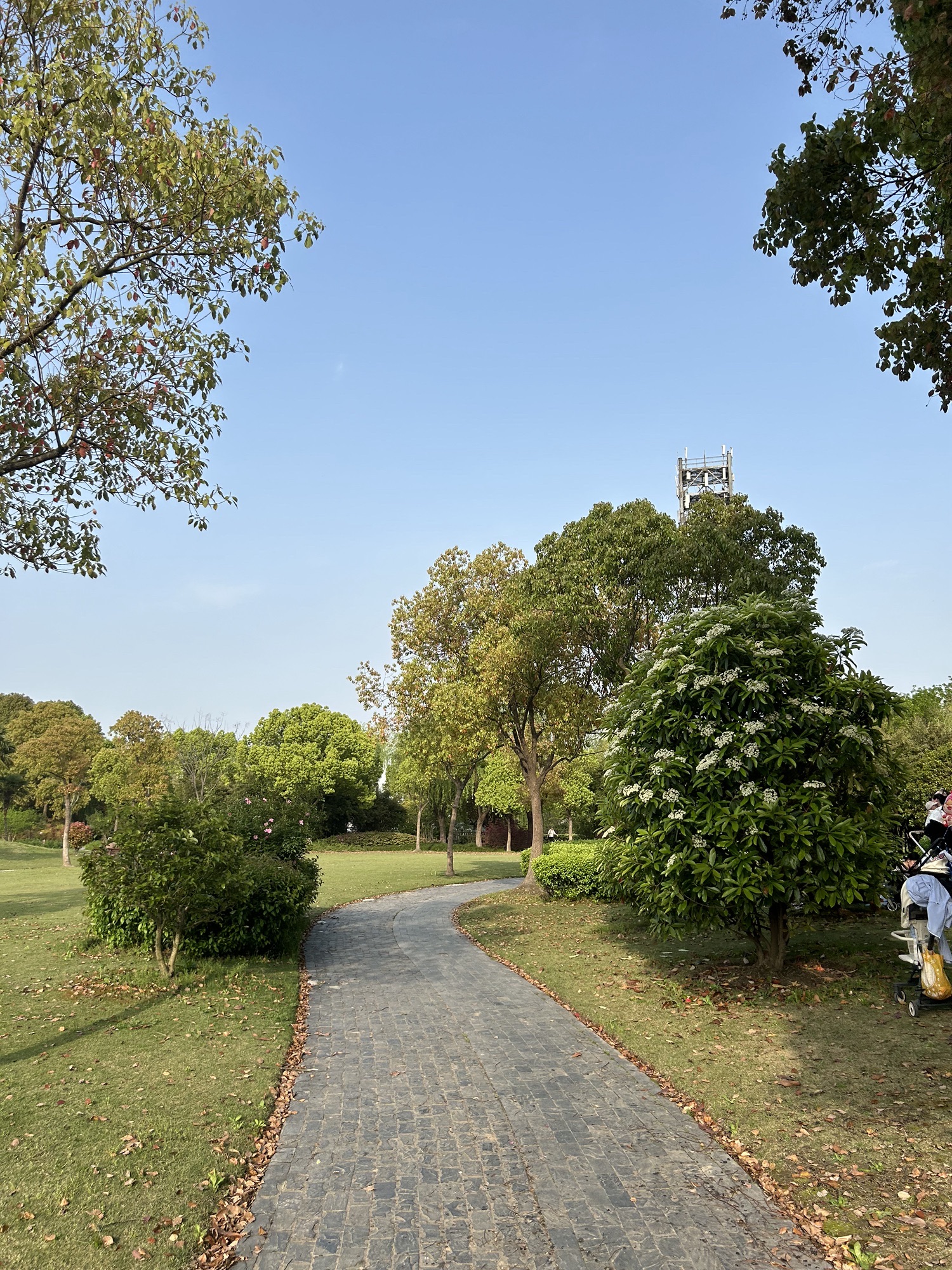 金鹤公园旅行图片 3