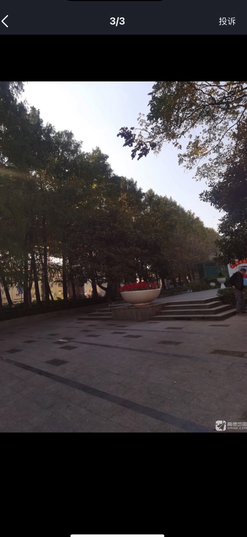 延天绿地旅行图片 3