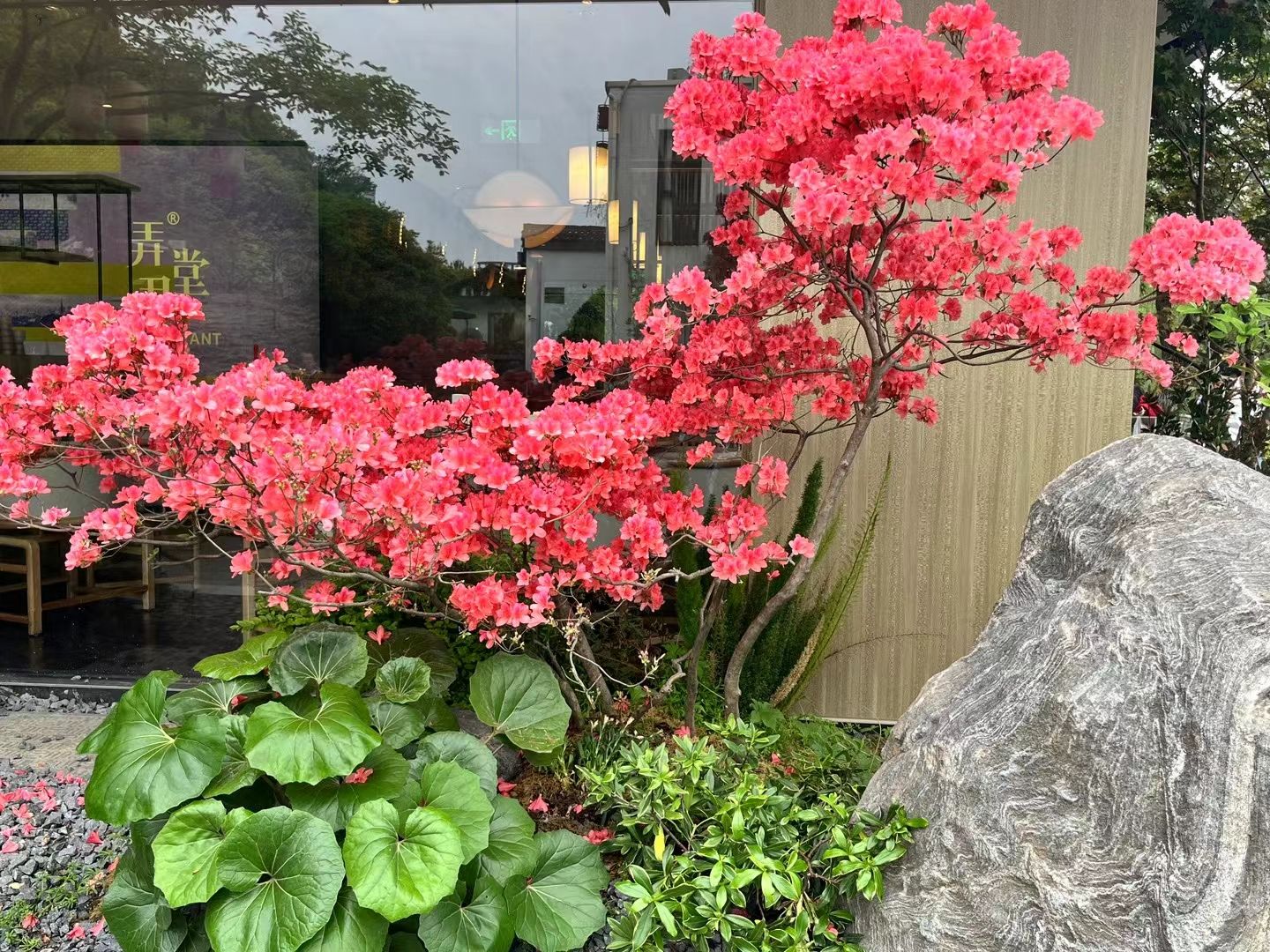 小河历史文化街区旅行图片 2