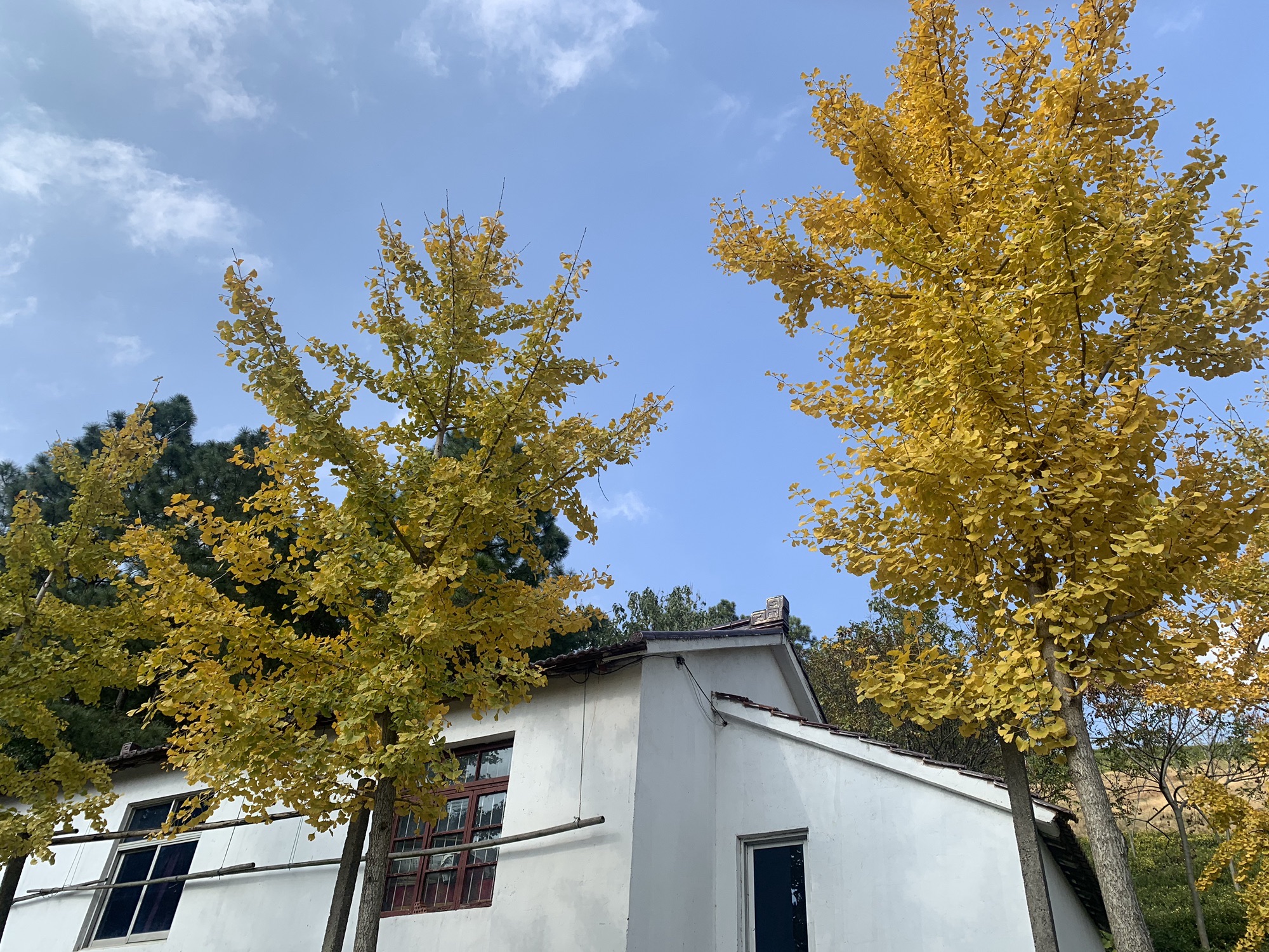 城山沟景区旅行图片 1