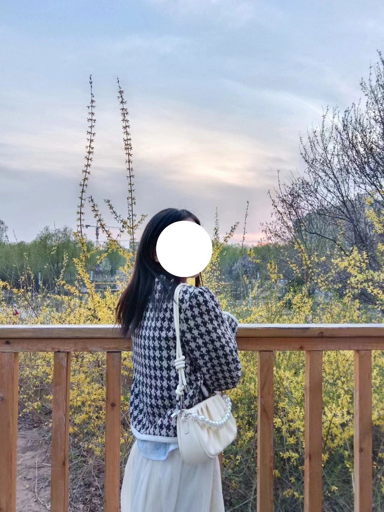 罗城公园旅行图片 1