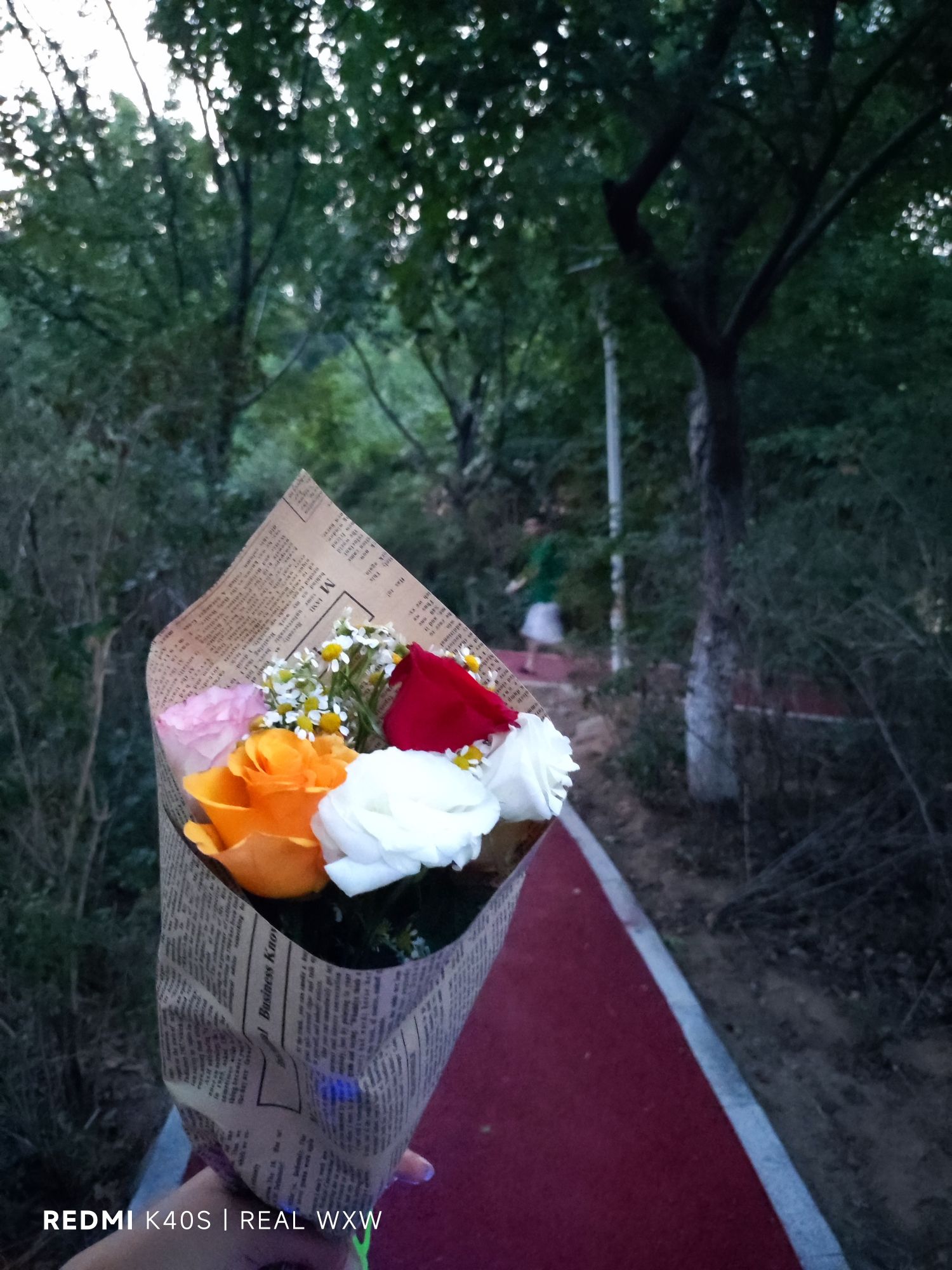 罗城公园旅行图片 1