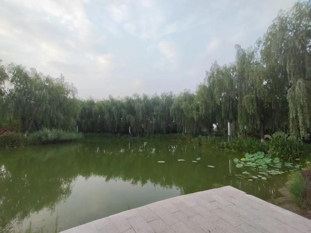 罗城公园旅行图片 3