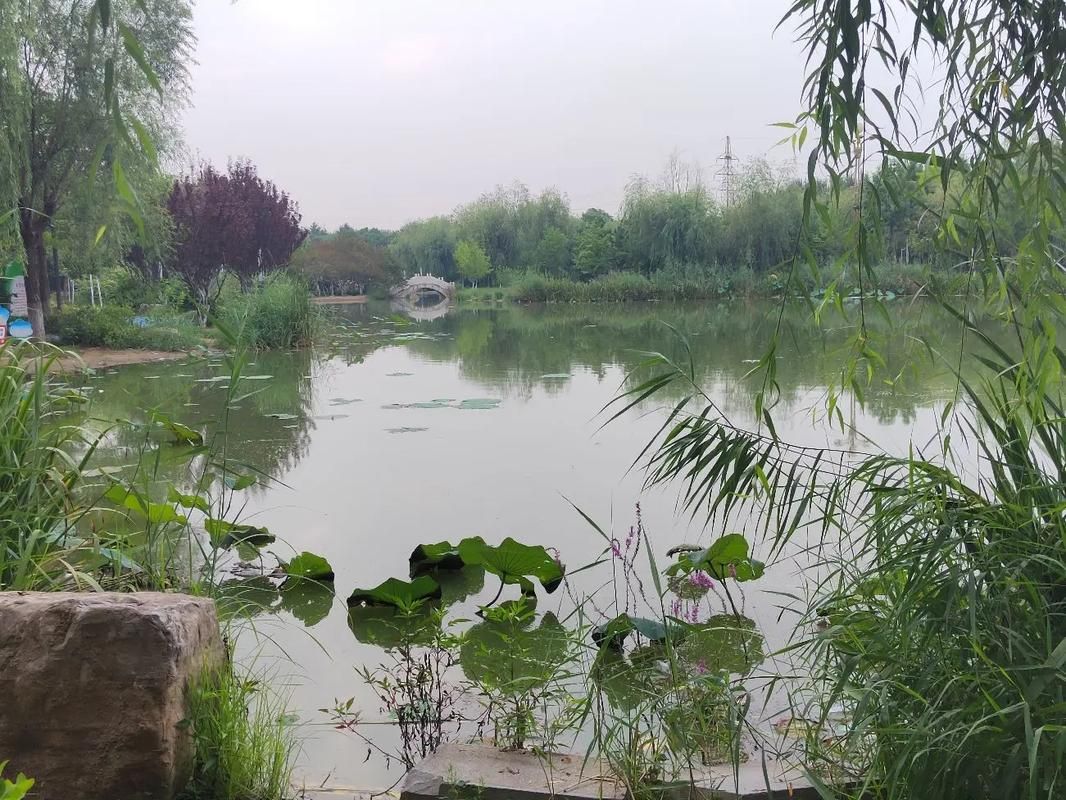 罗城公园旅行图片 2