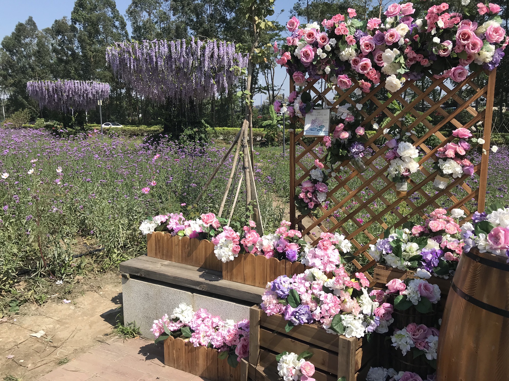 花海流潮旅行图片 3