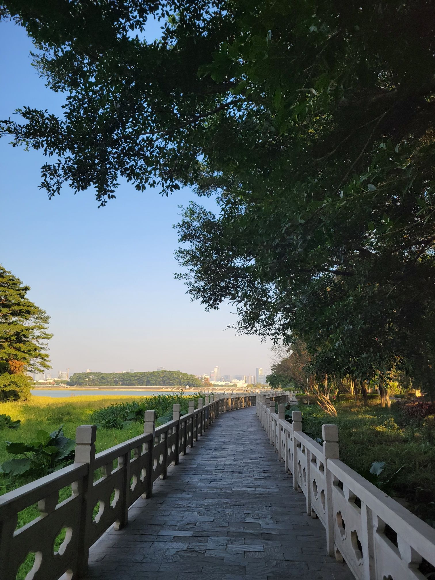 明湖公园旅行图片 3