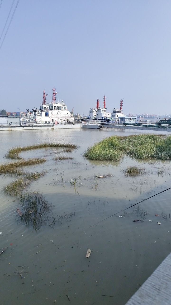 吴淞公园旅行图片 2