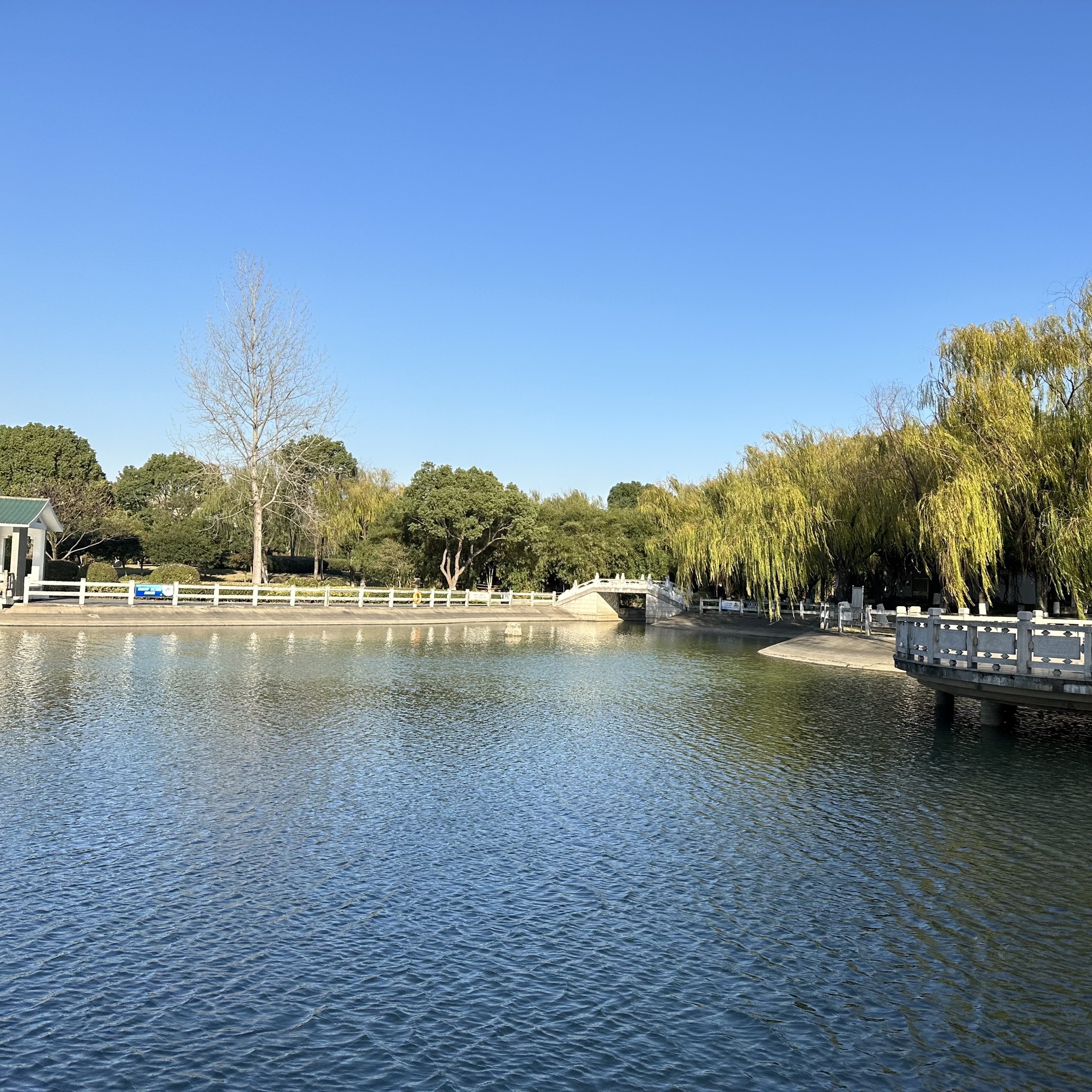 华新公园旅行图片 3