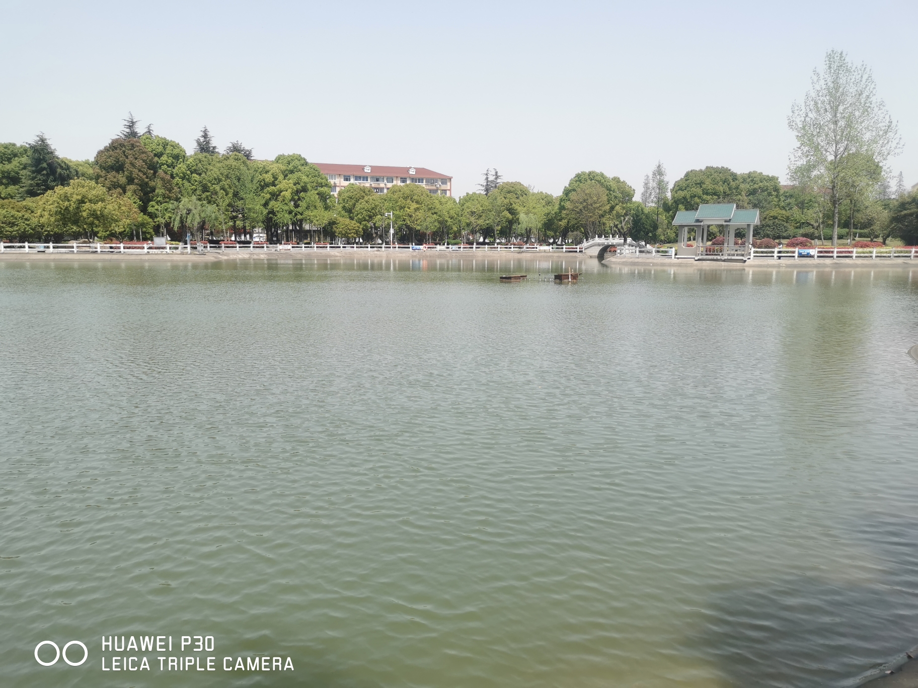 华新公园旅行图片 1