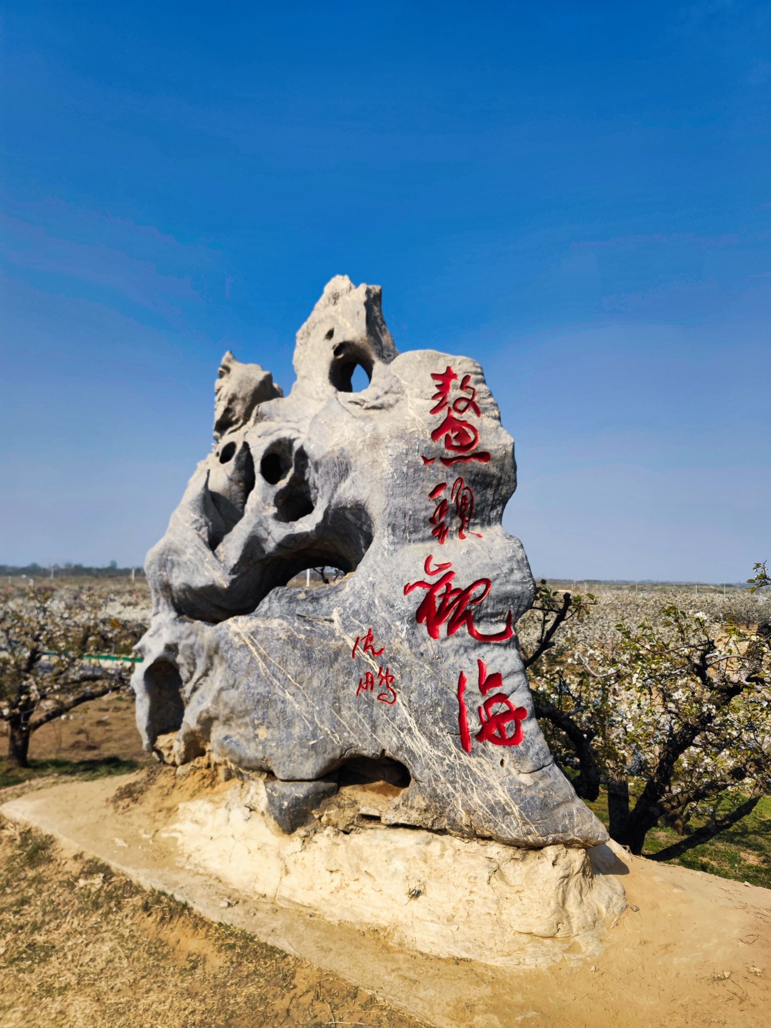鳌头观海旅行图片 1