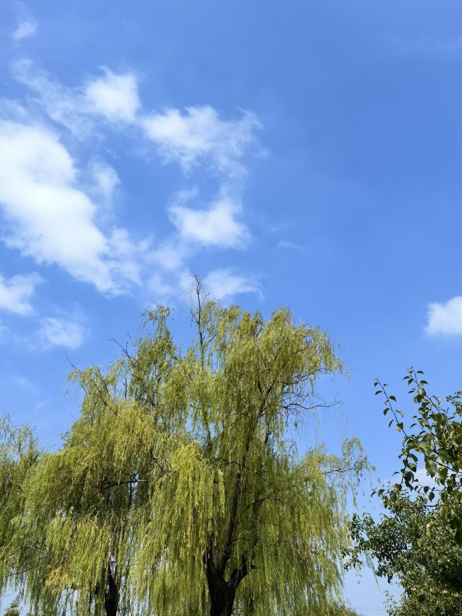鳌头观海旅行图片 2