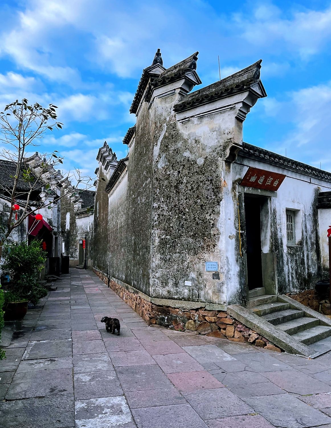 鸣鹤古镇旅行图片 1