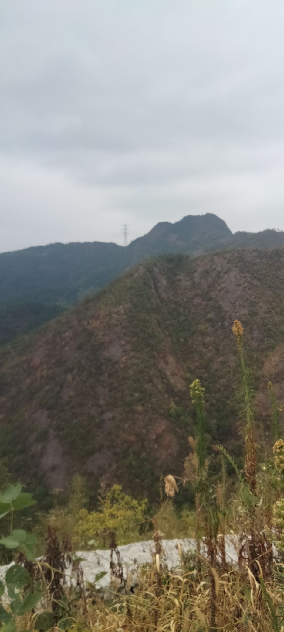 真武山风景区旅行图片 2