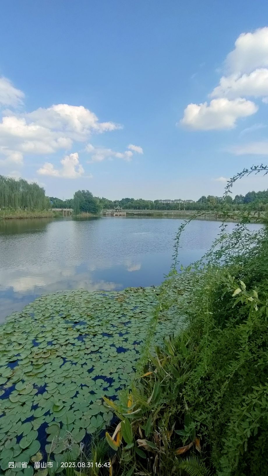 苏母公园旅行图片 2