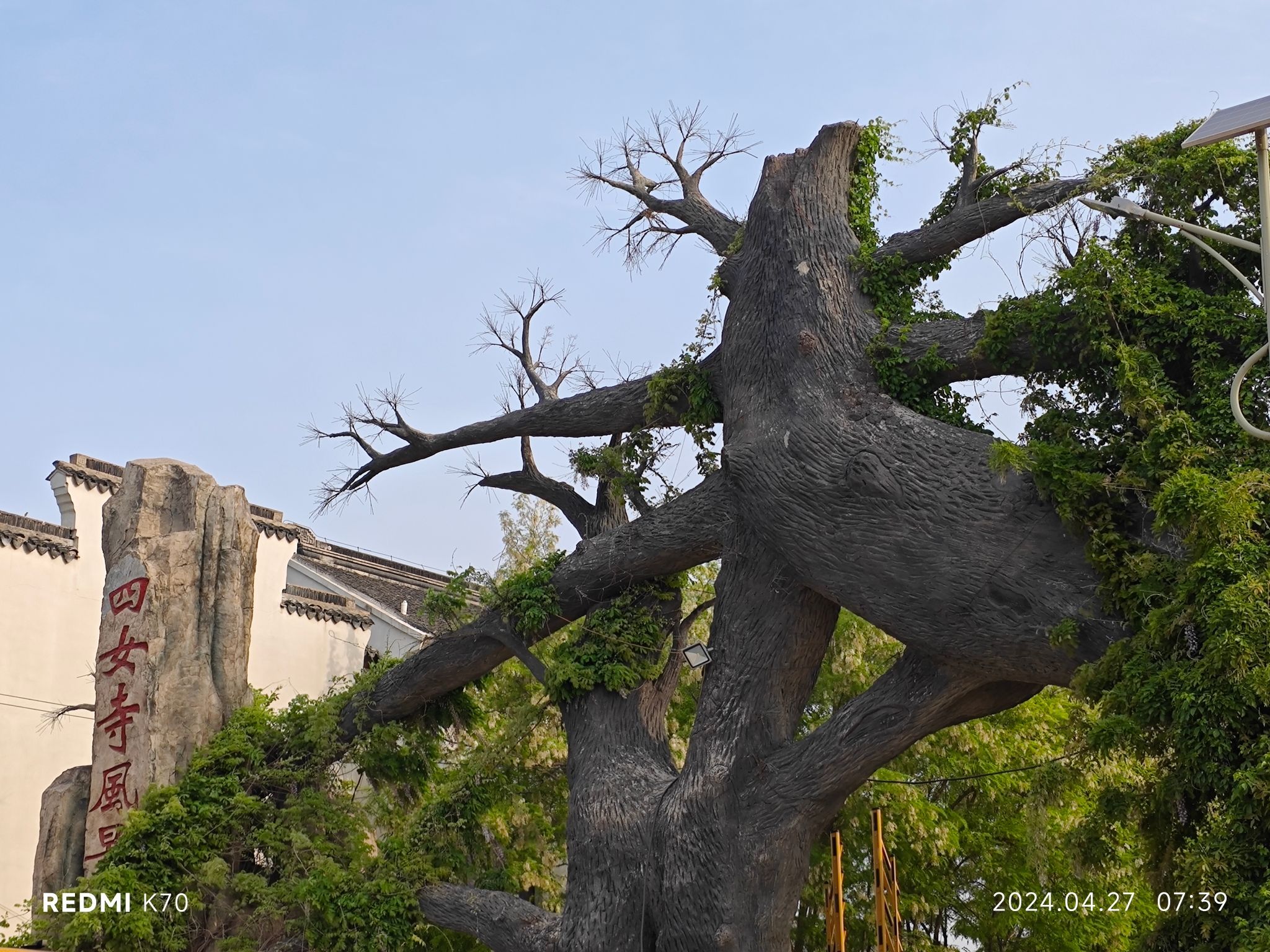 四女寺风景区旅行图片 3