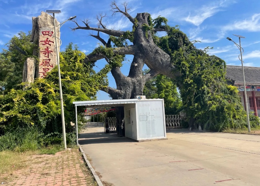 四女寺风景区