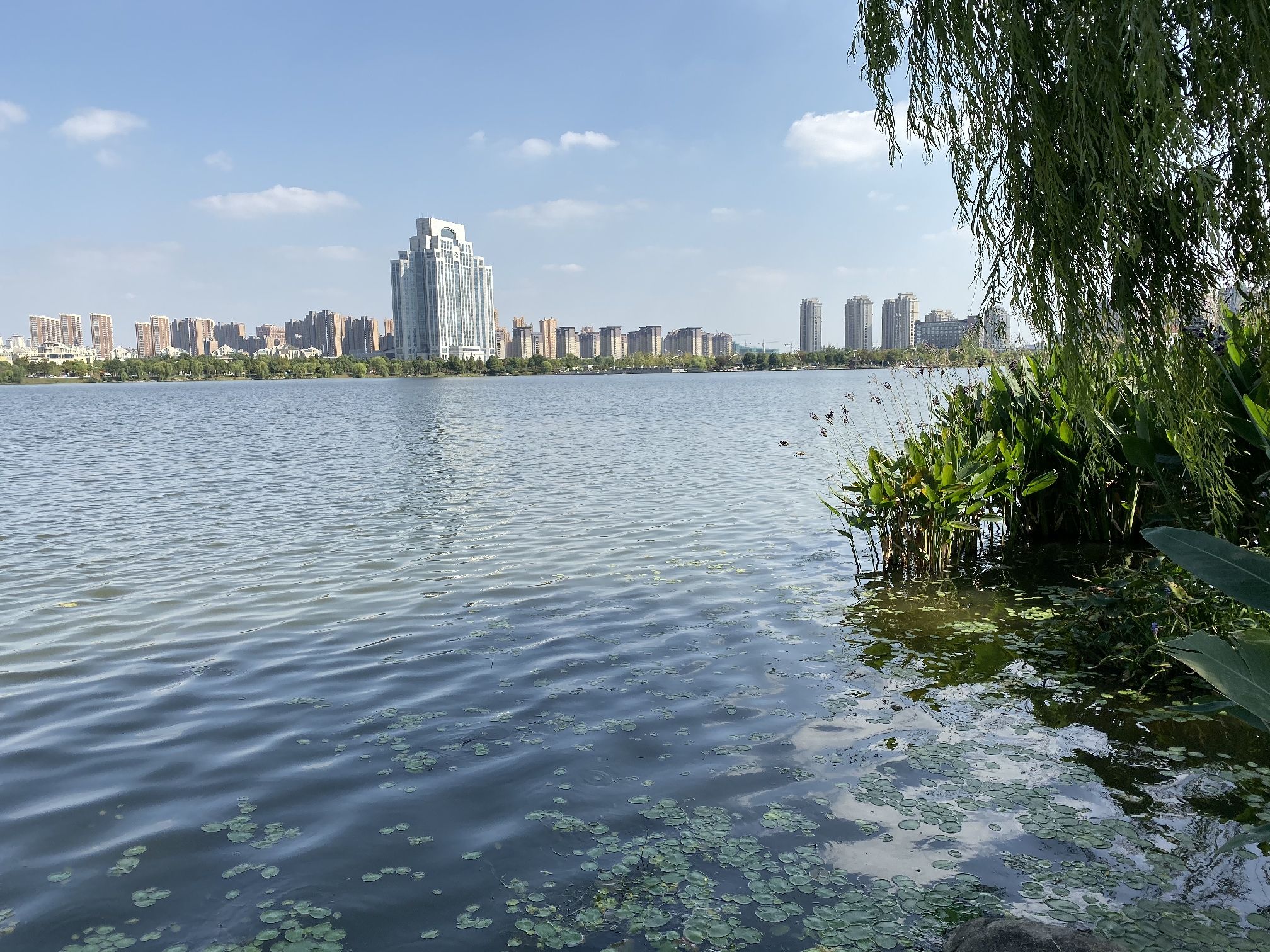 龙池湖旅行图片 2