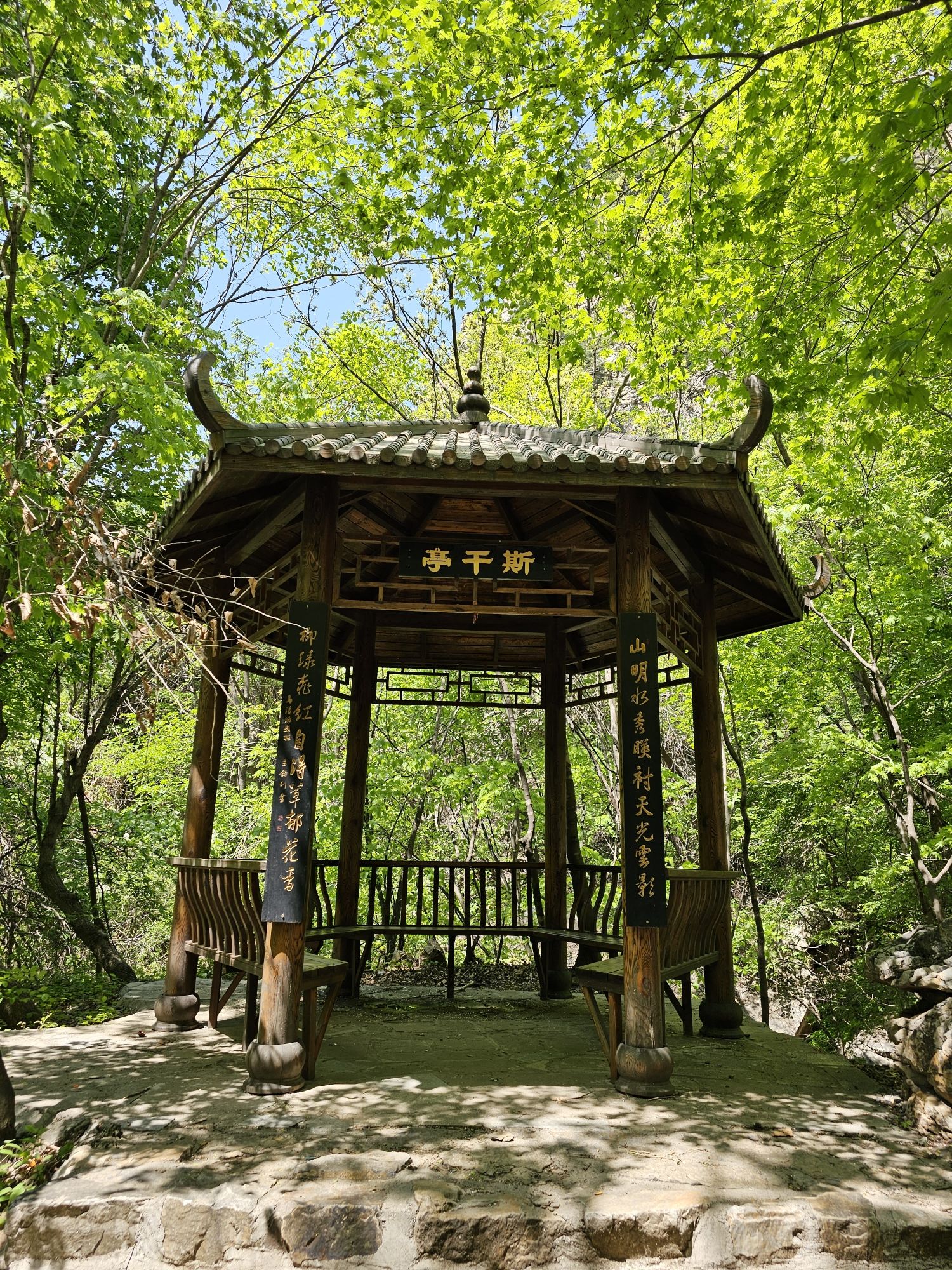 核伙沟森林公园旅行图片 1
