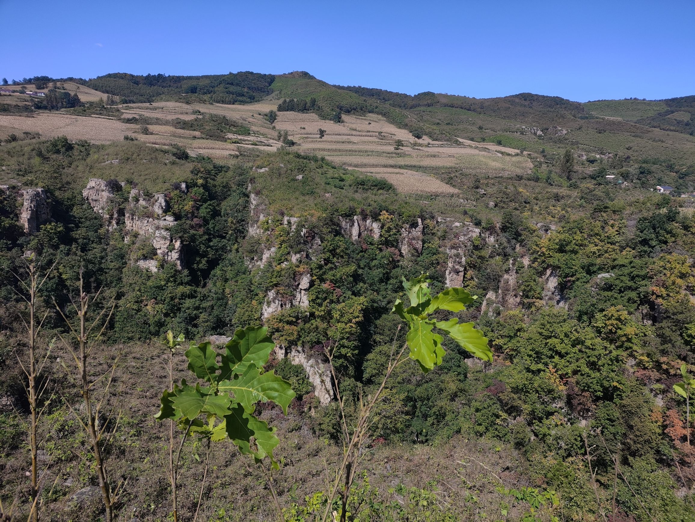 核伙沟森林公园旅行图片 3