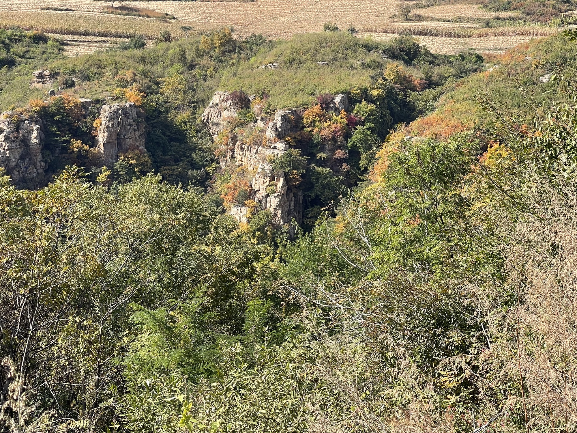 核伙沟森林公园旅行图片 2