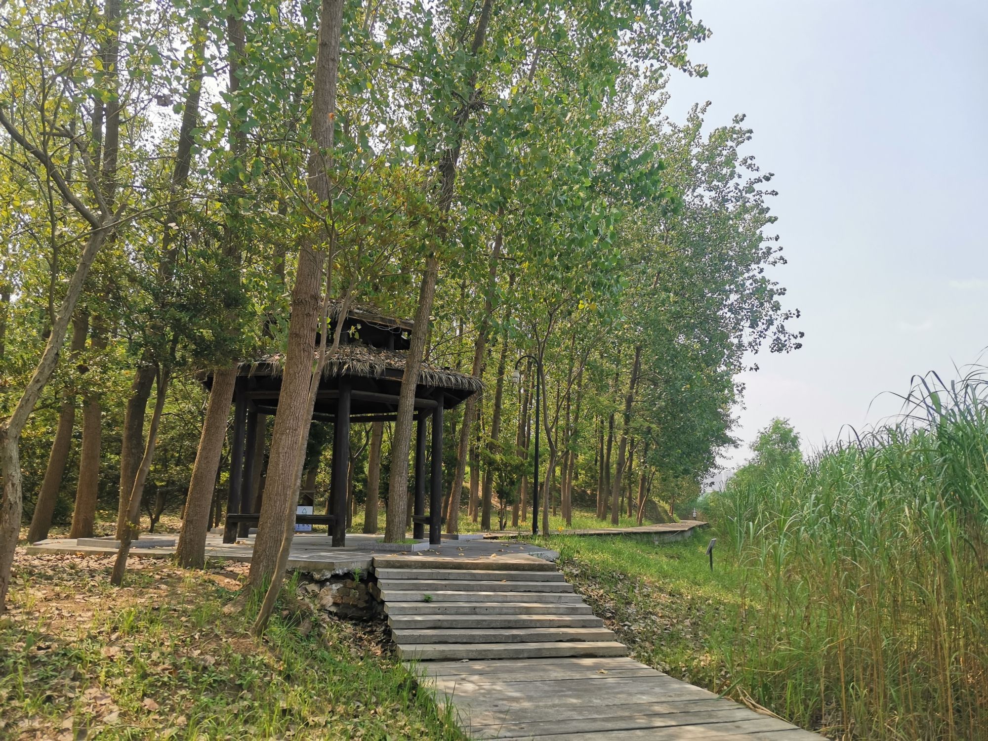 古淮河文化生态景区-淮河老街