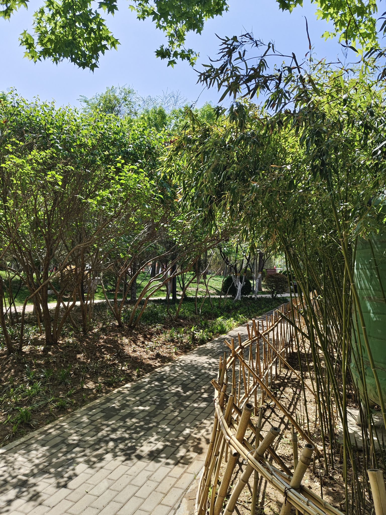 徐家儿童公园旅行图片 2